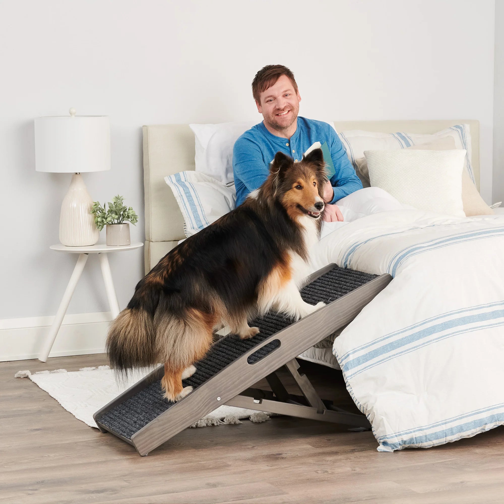 carlson-indoor-hunderampe-grau-klappbar-bis-36-kg image 4