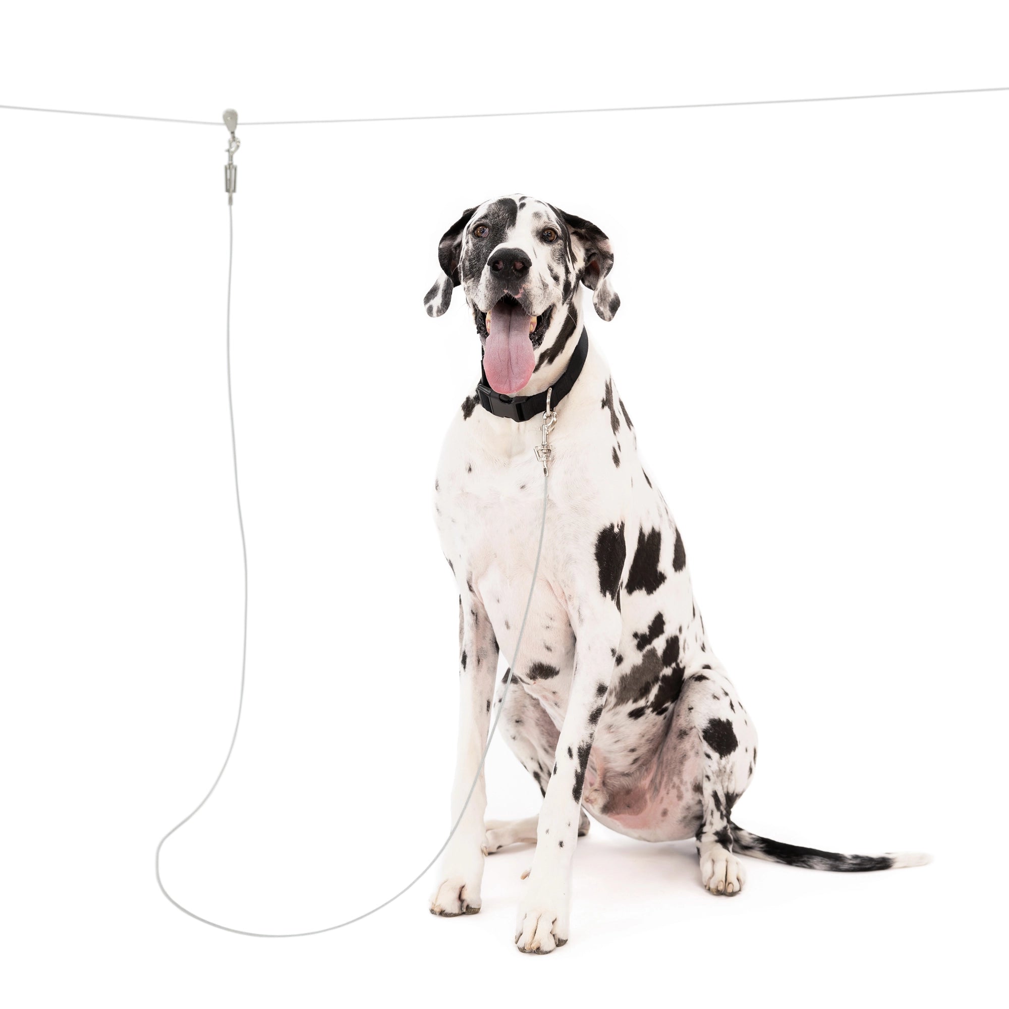 carlson-tie-outs-laufleine-hund-stahl-15m-3m-bis-90kg image 1