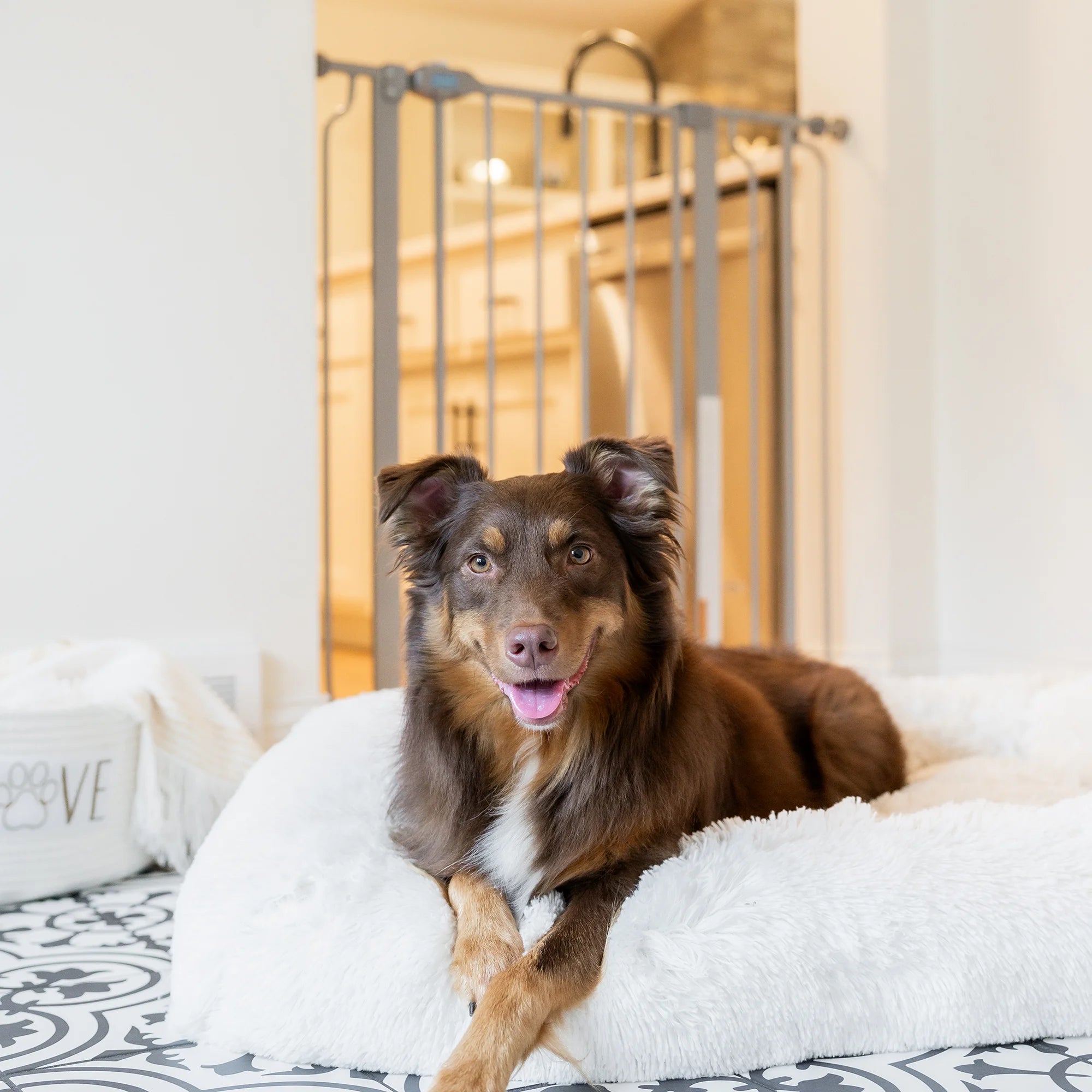 carlson-extra-tall-hundegitter-91cm-platin-mit-kleint-r image 5