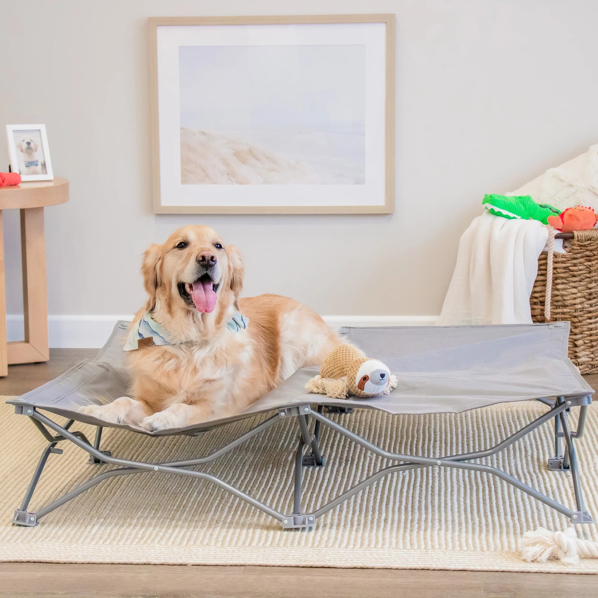carlson-portable-pup-hundebett-grau-extrabreit-119-cm image 4