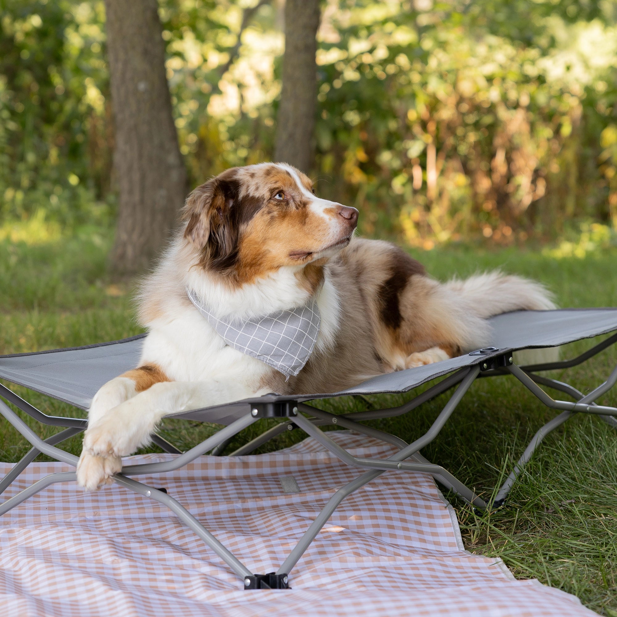 carlson-beds-large-portable-pup-hundebett-grau-faltbar image 1