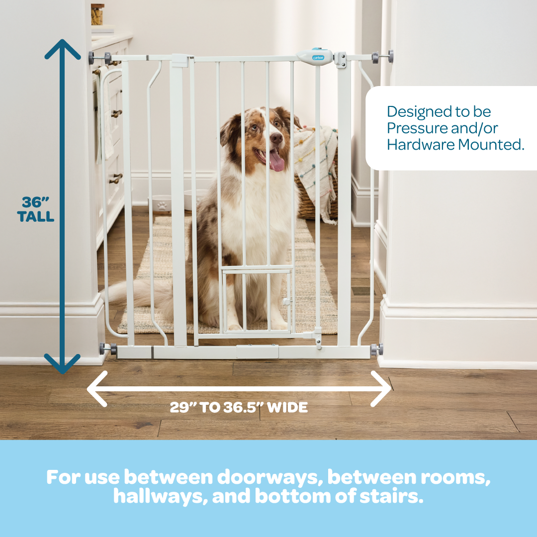 carlson-0941-walk-thru-hundegitter-wei-91-hoch-kleintiert-r image 2