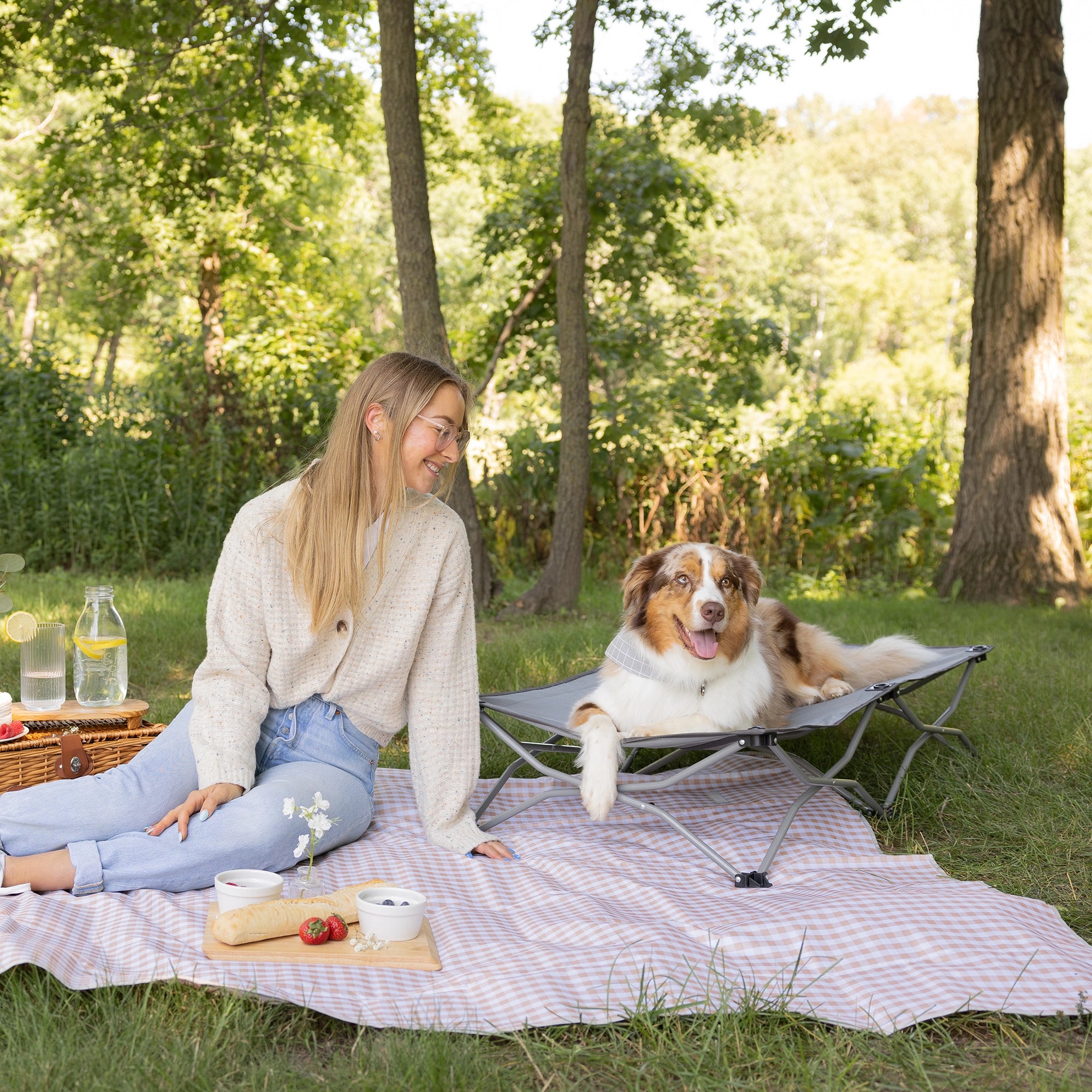 carlson-beds-large-portable-pup-hundebett-grau-faltbar image 4