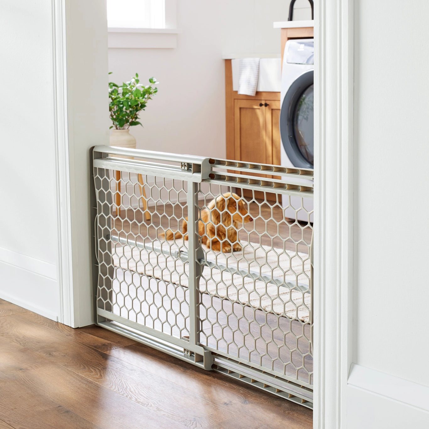 carlson-gates-plastic-hundegitter-grau-ausziehbar-58cm-hoch image 4