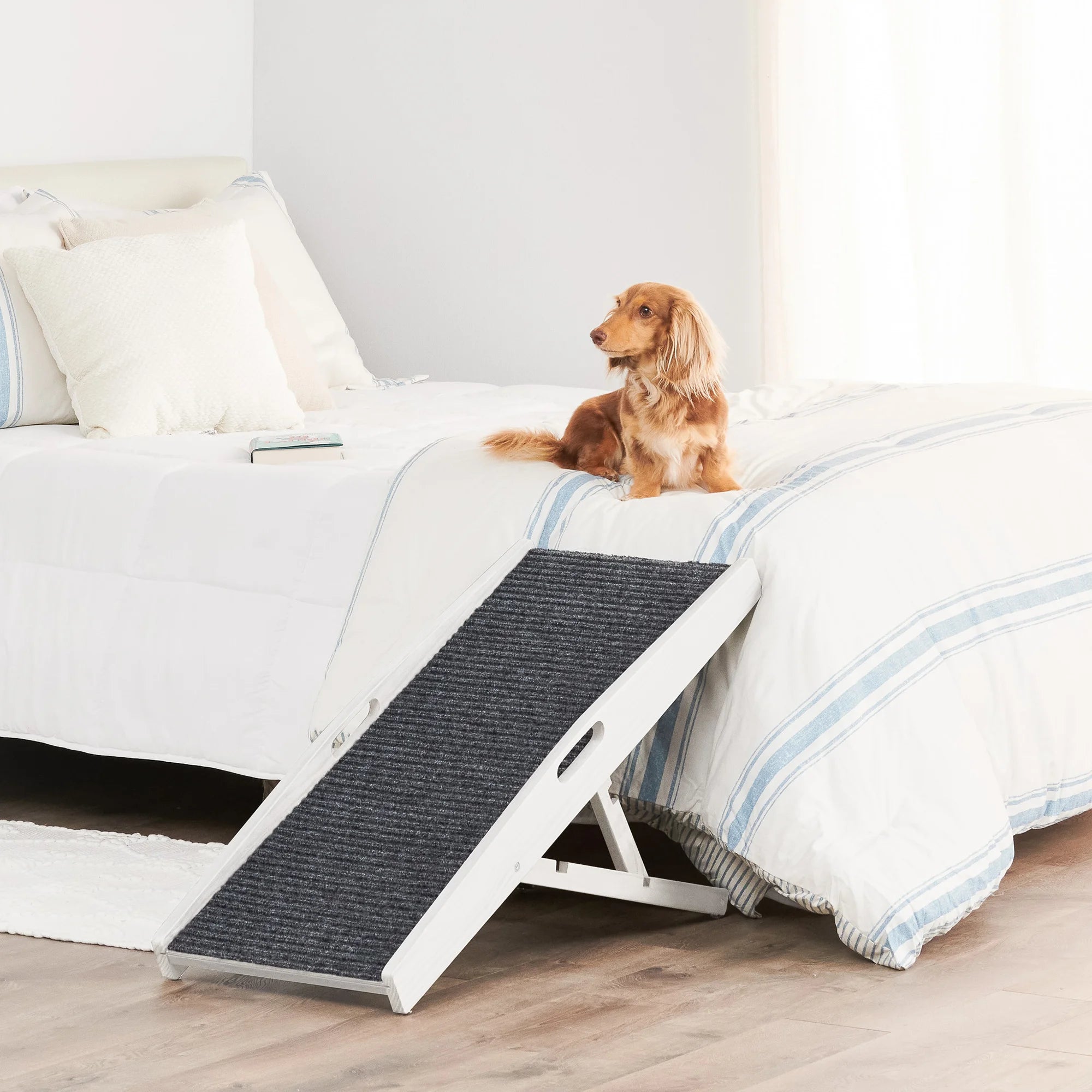 carlson-indoor-hunderampe-wei-klappbar-bis-36-kg image 4