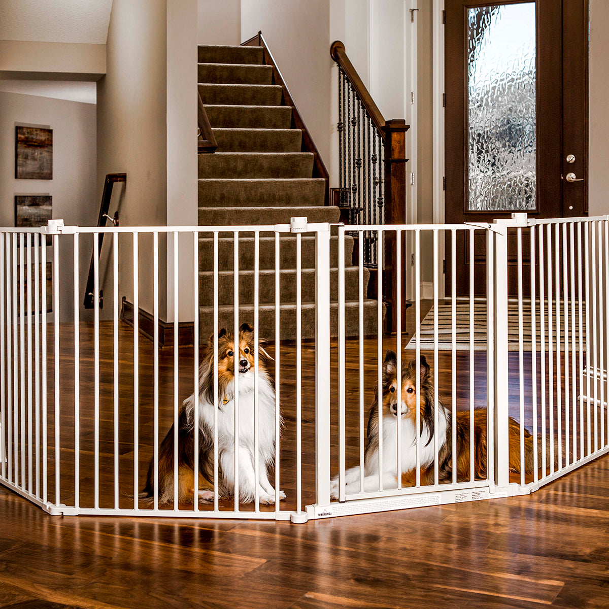 carlson-gates-super-wide-convertible-hundegitter-stahl-305-cm image 2