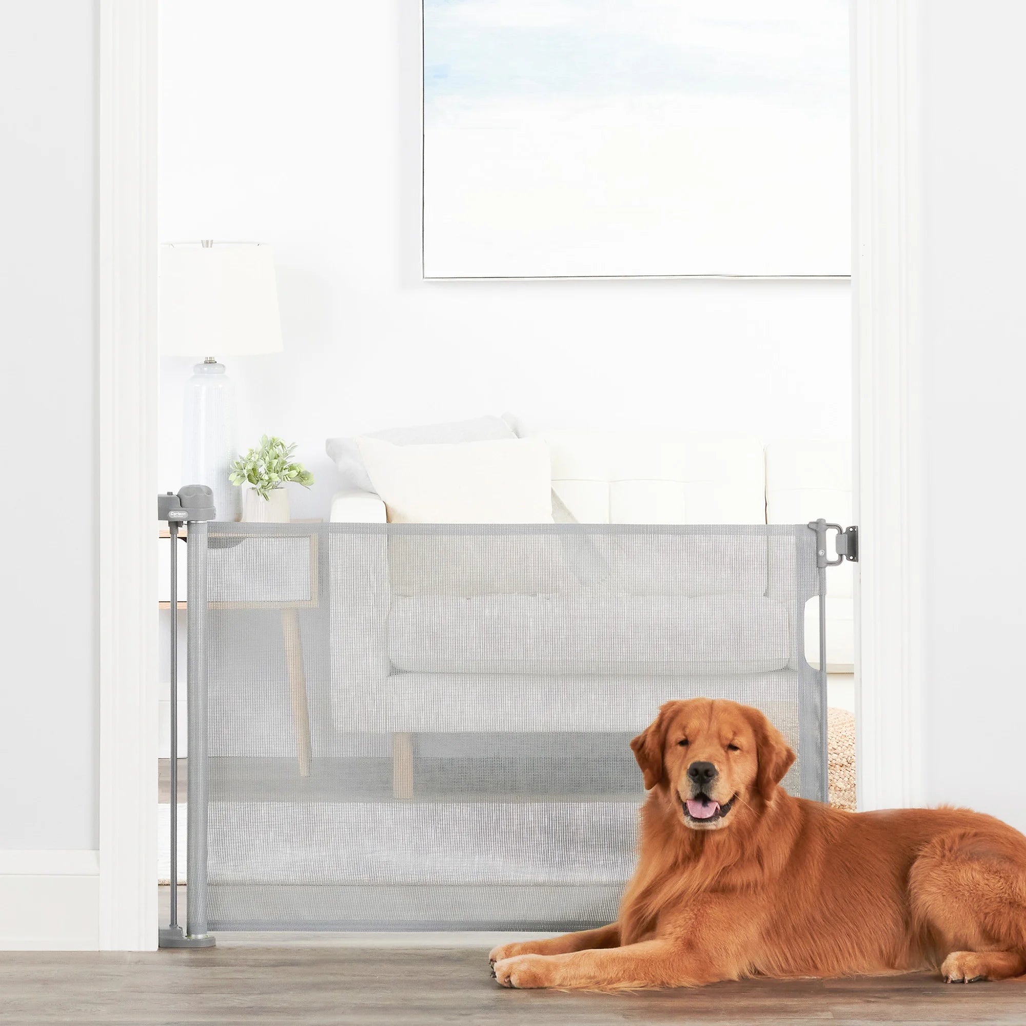 carlson-gates-retractable-hundegitter-mesh-127-cm image 6