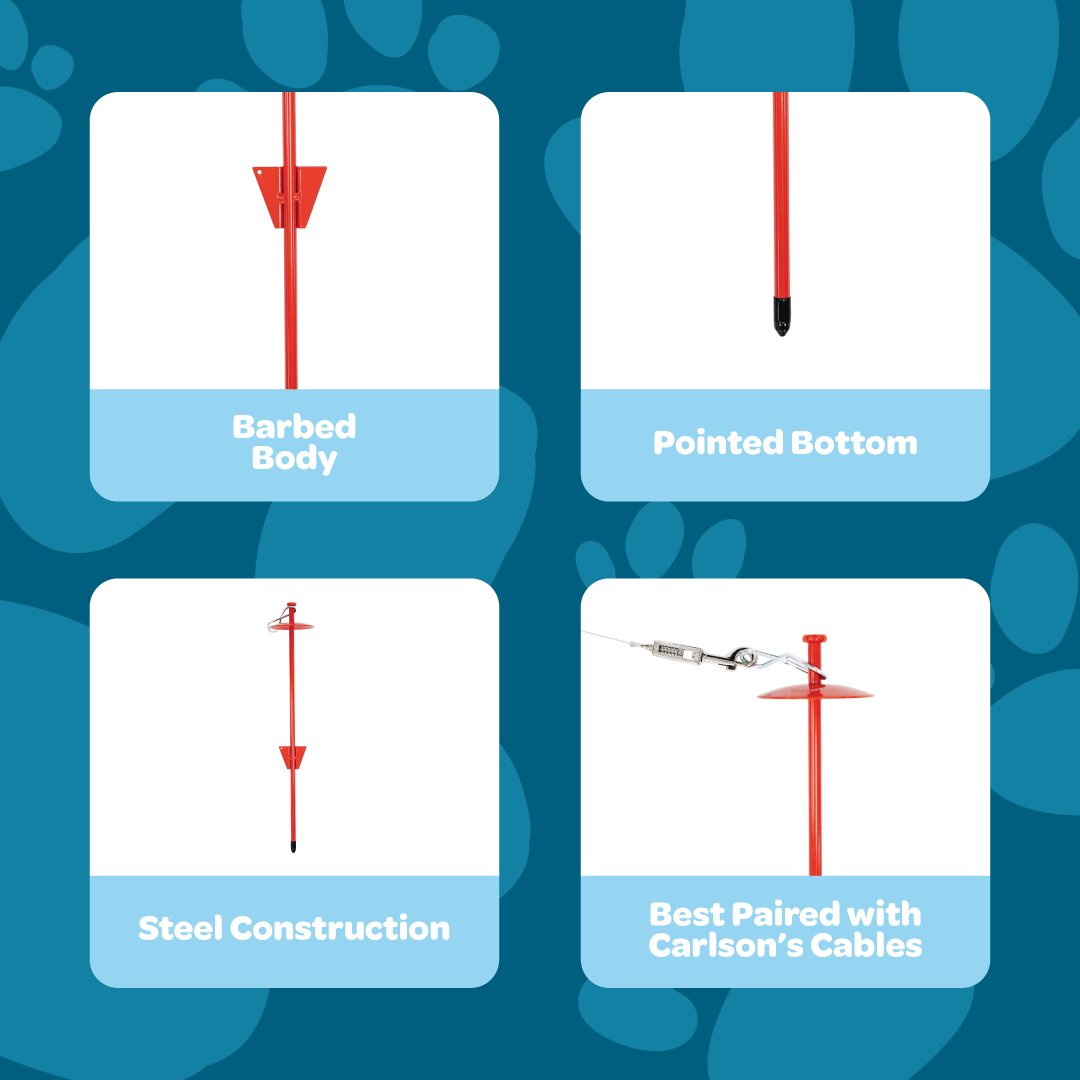 carlson-tie-outs-domed-barbed-stake-anbindepflock-rot image 3