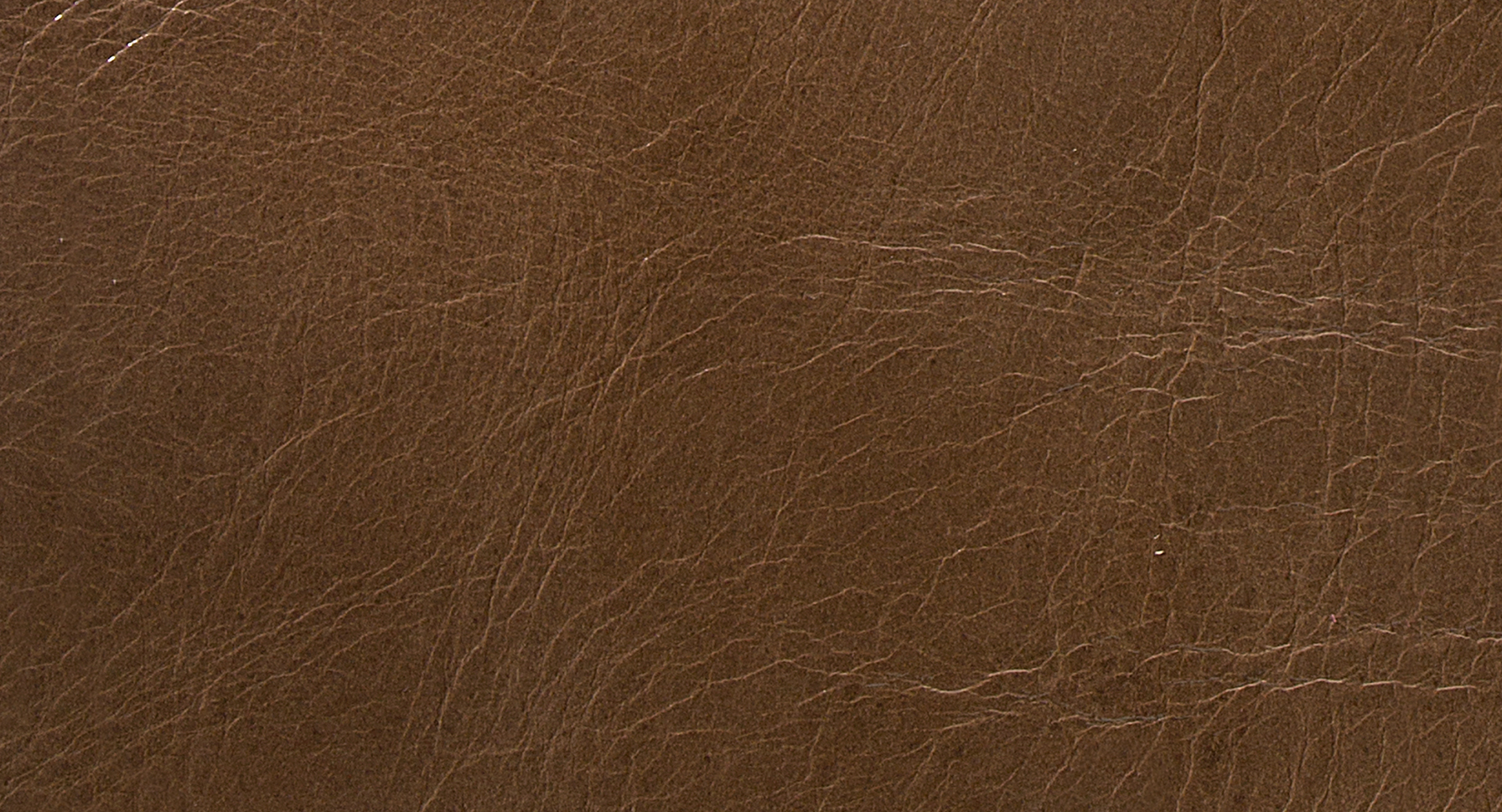 arketipo-complementi-pelle-leonardo-wohnaccessoire-leder image 4