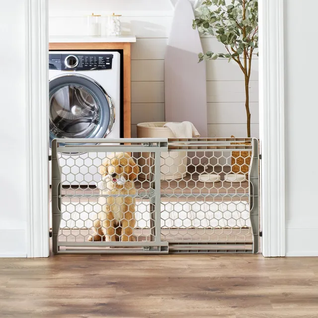 carlson-gates-plastic-hundegitter-grau-ausziehbar-58cm-hoch image 1