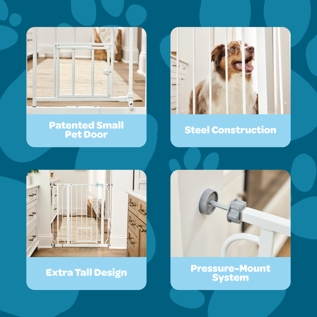 carlson-0941-walk-thru-hundegitter-wei-91-hoch-kleintiert-r image 3