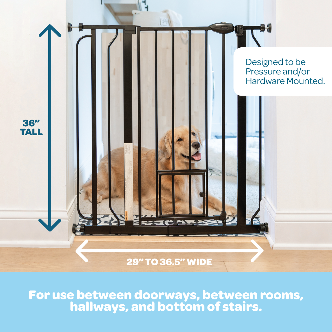 carlson-walk-thru-hundegitter-schwarz-91-hoch-kleintiert-r image 2