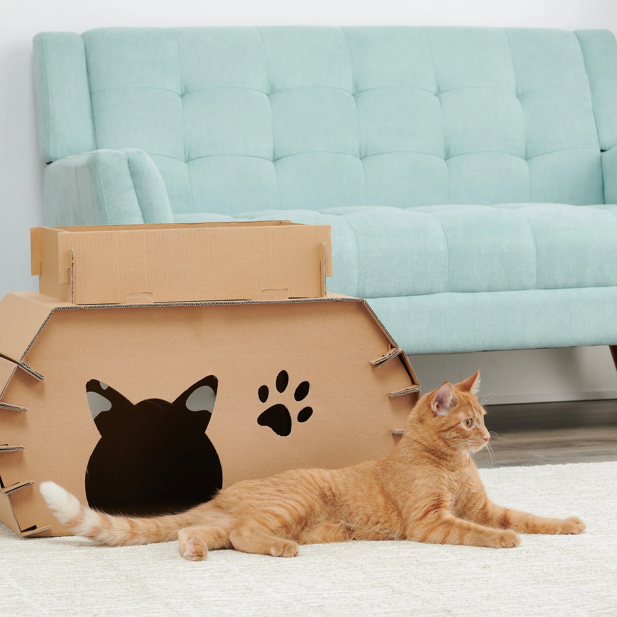 carlson-cat-camper-katzenhaus-pappe-mit-kratzer image 8