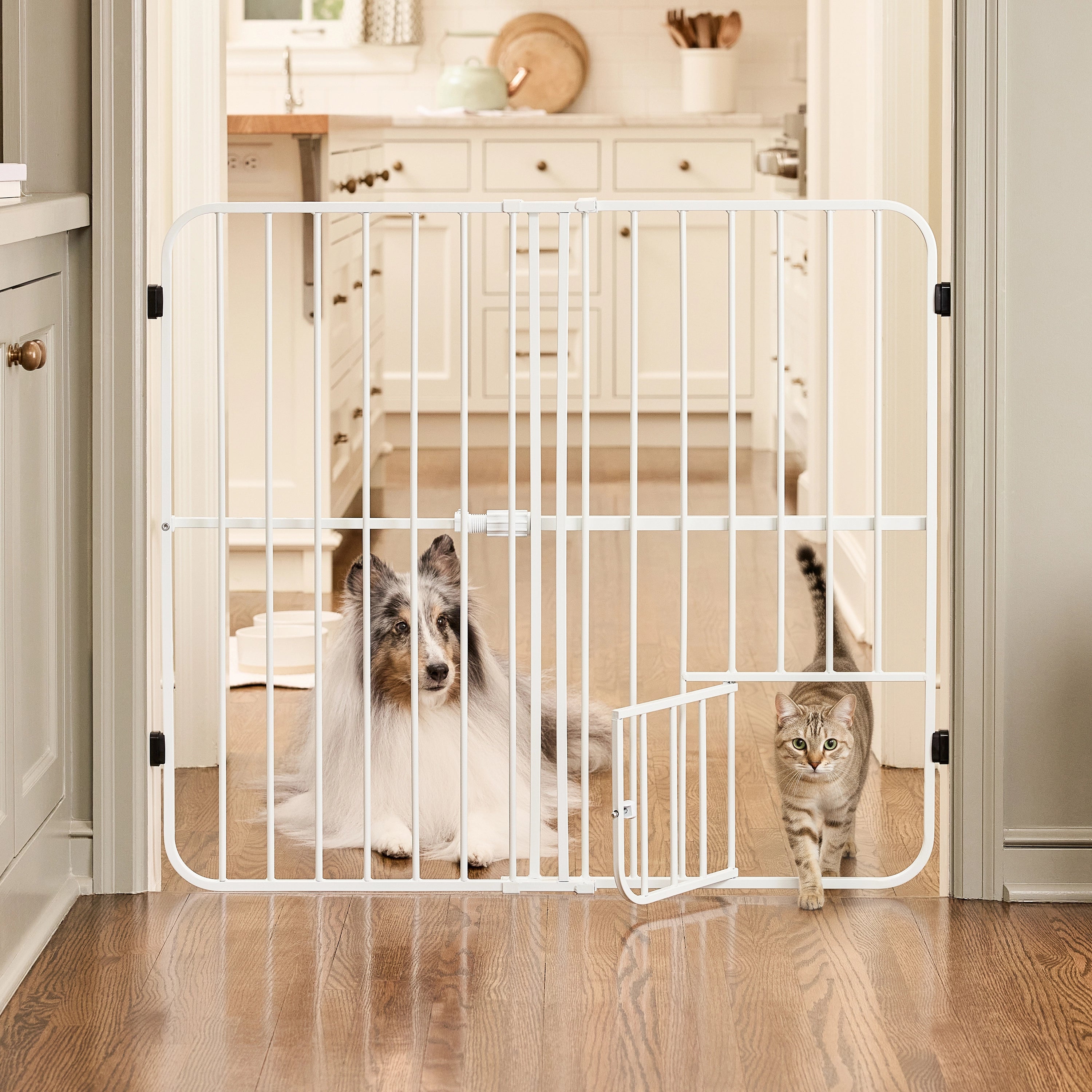 carlson-big-tuffy-hundegitter-wei-ausziehbar-kleintiert-r image 5