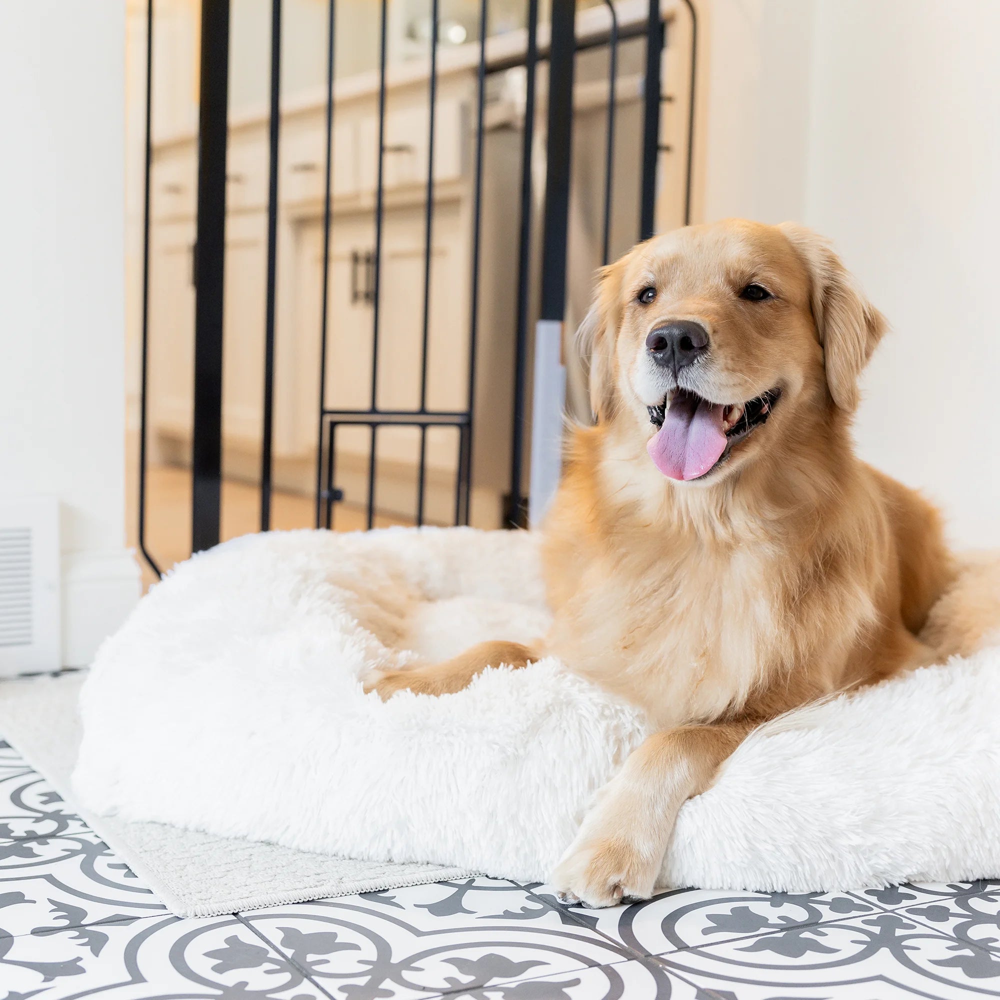 carlson-walk-thru-hundegitter-schwarz-91-hoch-kleintiert-r image 5