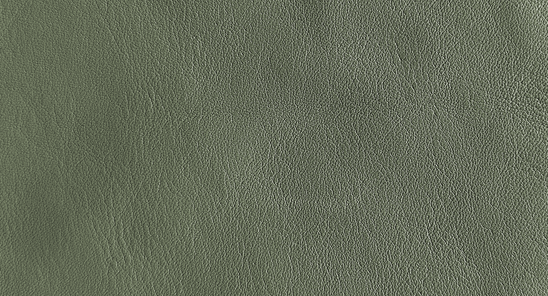 arketipo-complementi-pelle-b-anilina-lederaccessoire-anilin image 2