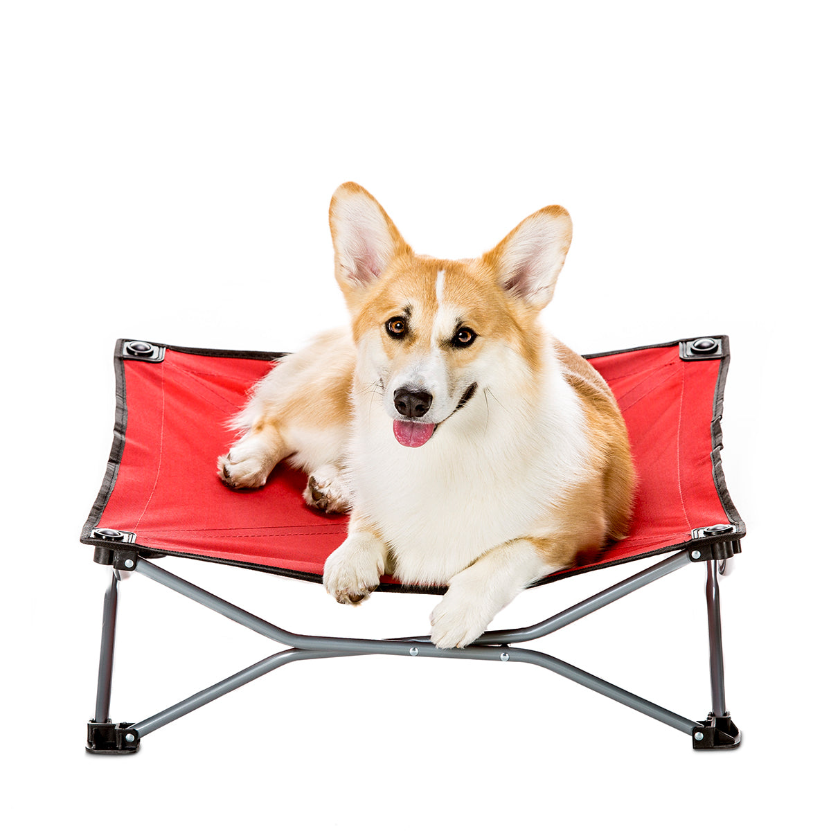 carlson-portable-pup-hundebett-klein-faltbar-60x60-canvas image 1