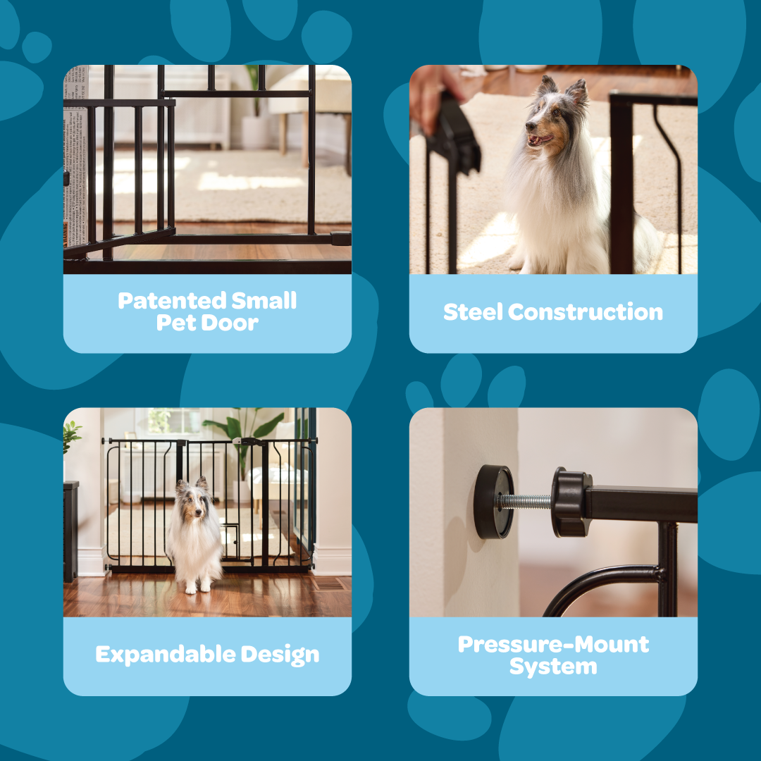 carlson-gates-51-walk-thru-hundegitter-griff-schwarz image 3