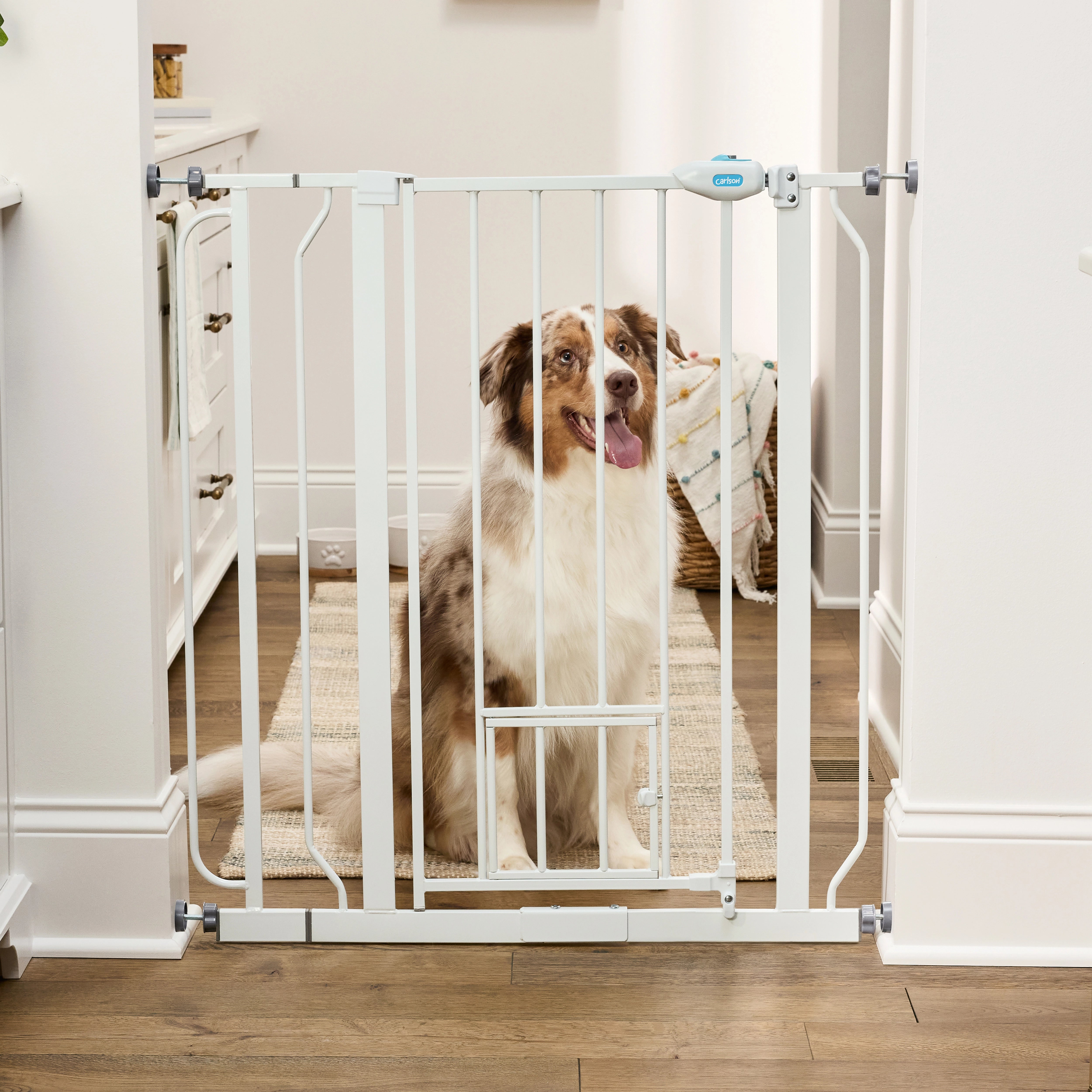 carlson-0941-walk-thru-hundegitter-wei-91-hoch-kleintiert-r image 1
