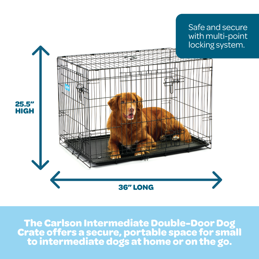 carlson-crates-intermediate-hundebox-doppelt-r-91-cm image 2