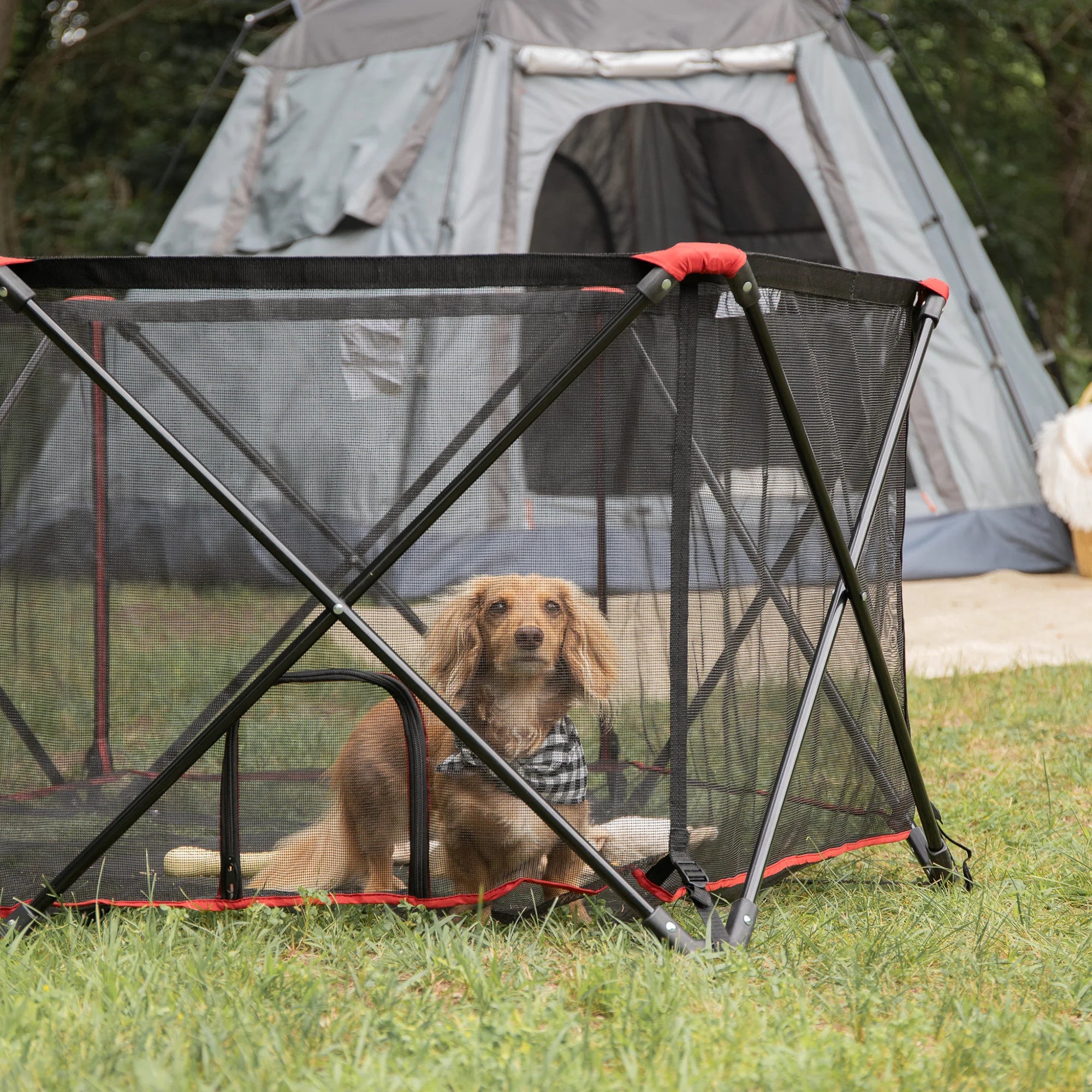 carlson-crates-pens-portable-pet-pen-hundegehege-rot-faltbar image 7