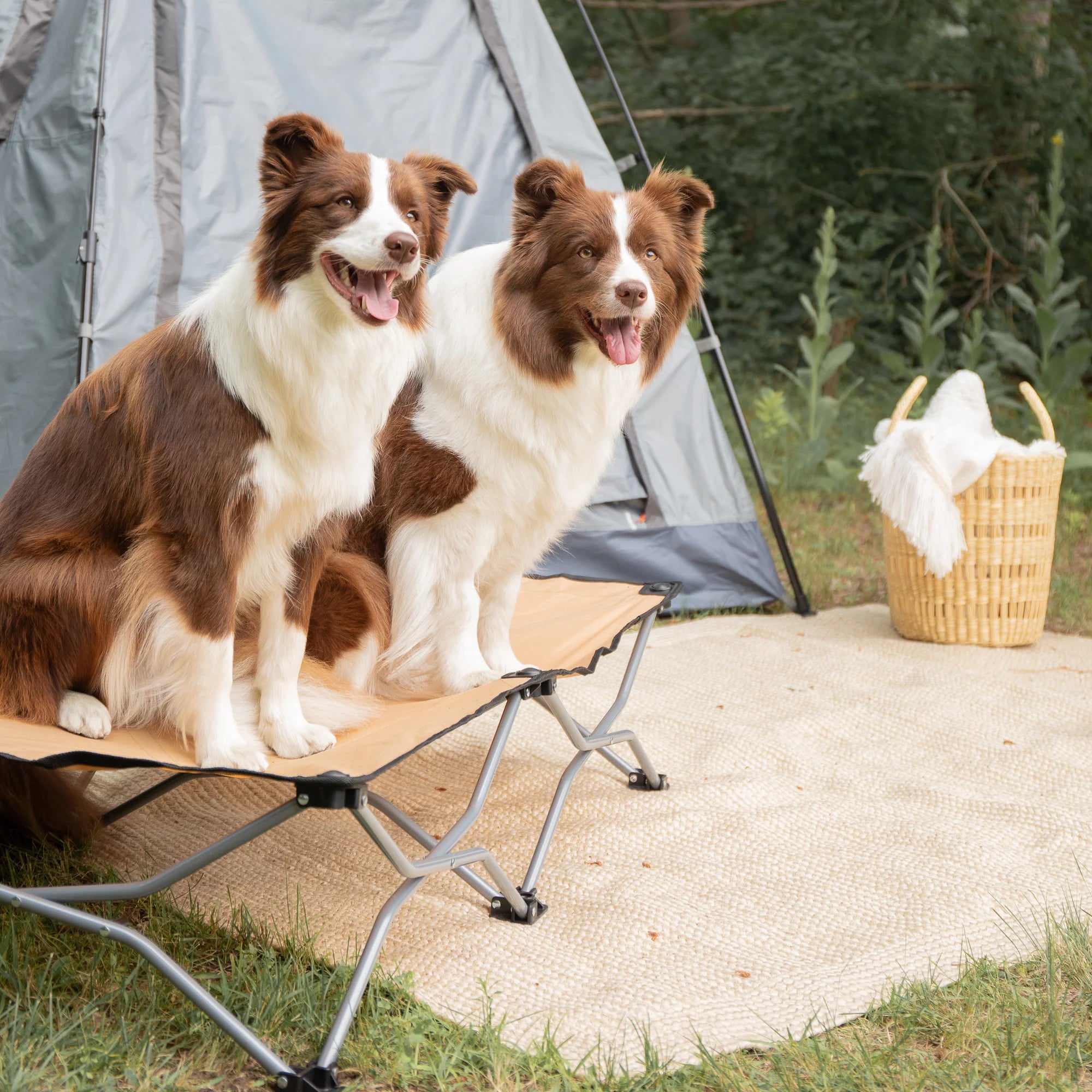 carlson-large-pup-hundebett-faltbar-beige-120-cm image 6
