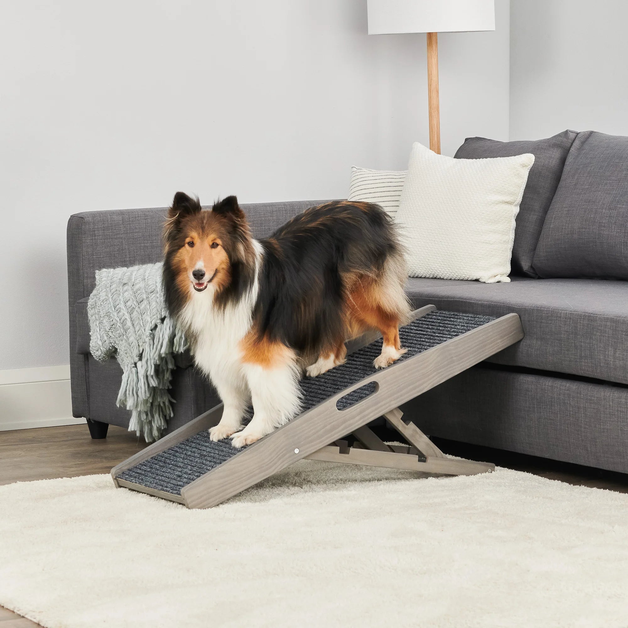 carlson-indoor-hunderampe-grau-klappbar-bis-36-kg image 1