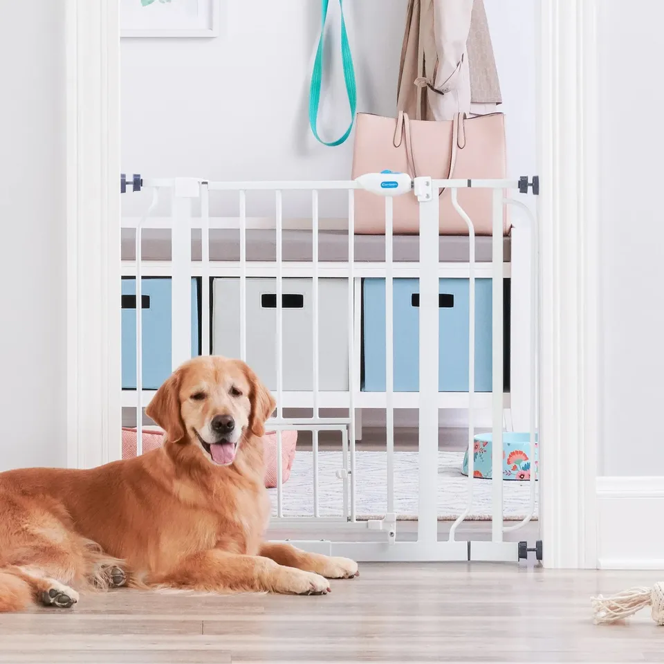 carlson-gates-extra-wide-walk-thru-hundegitter-wei-kleintiert-r image 1
