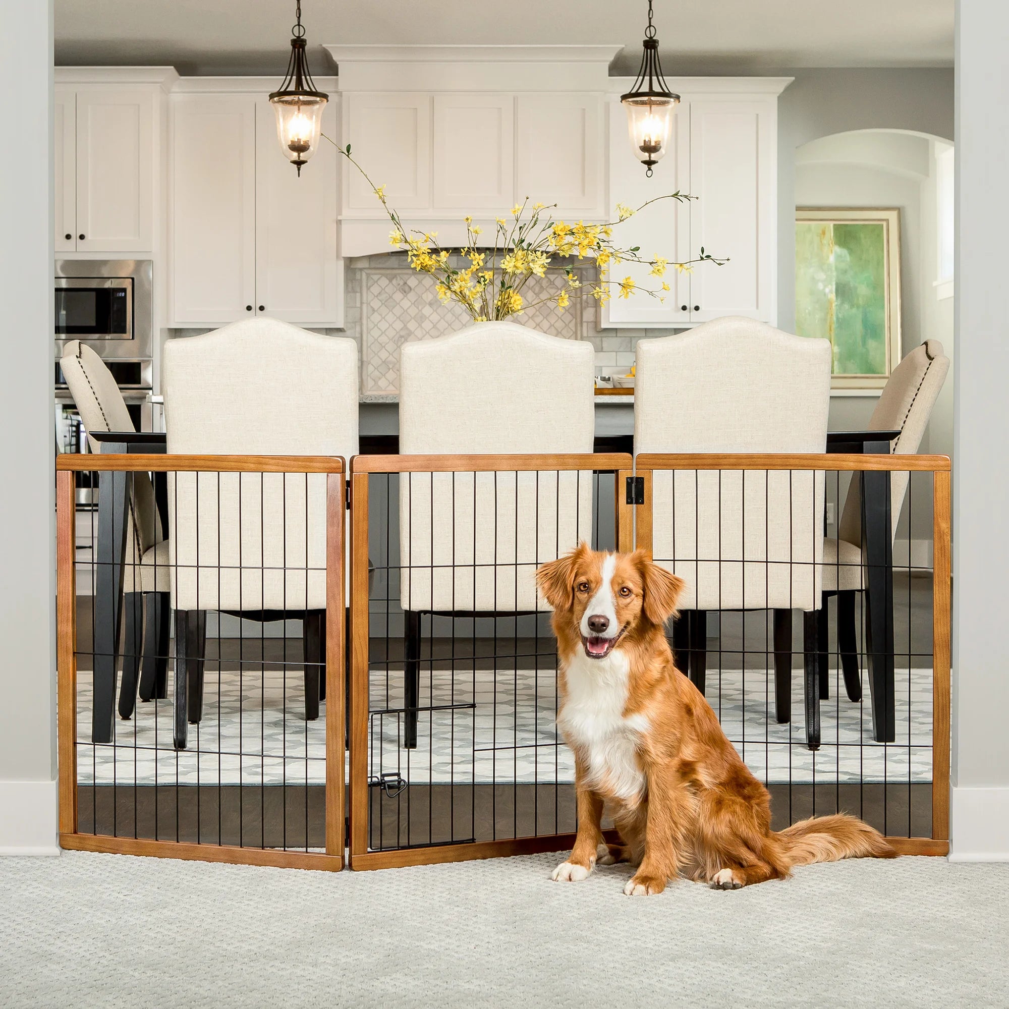 carlson-gates-design-paw-hundegitter-holz-3-teilig-kirsche image 1
