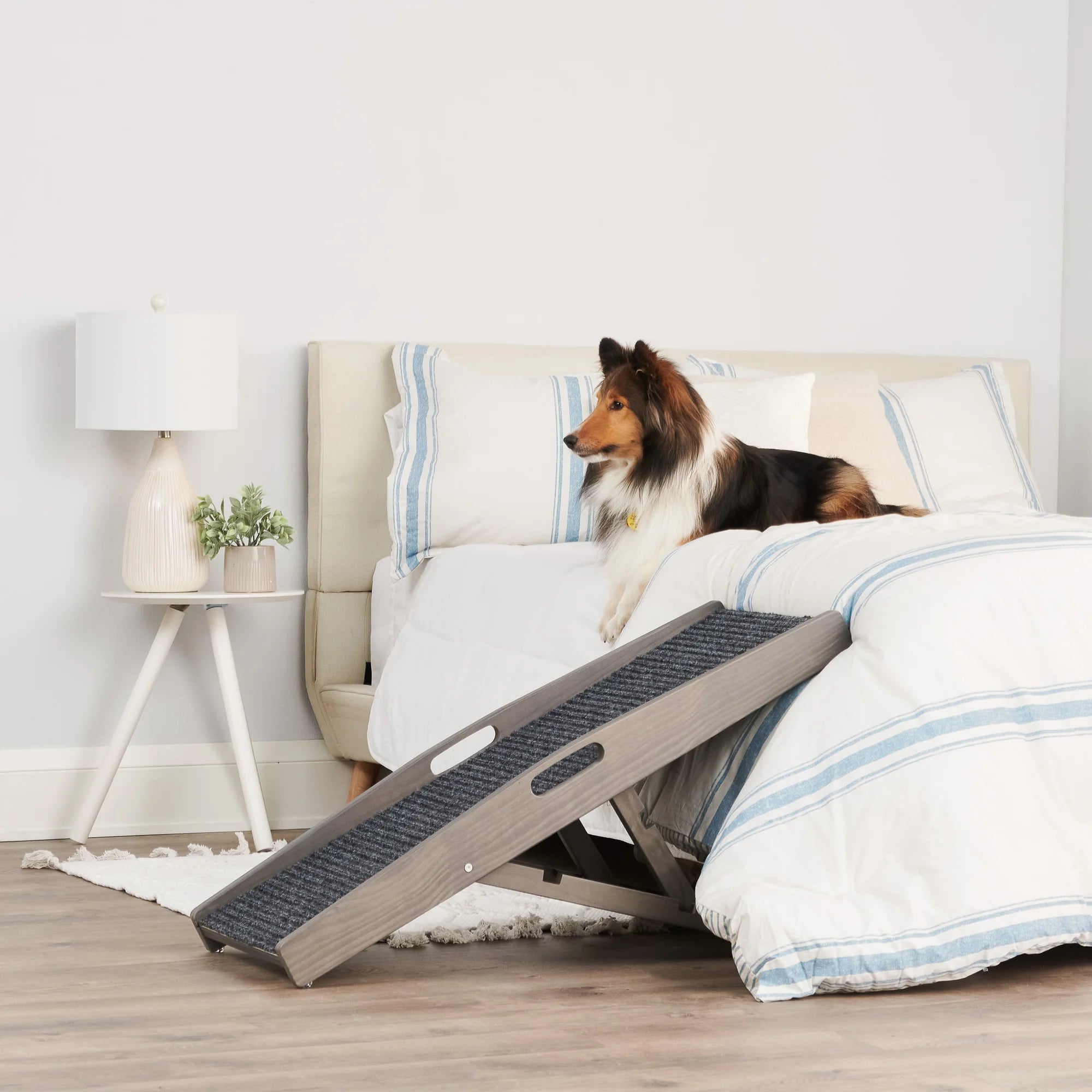 carlson-indoor-hunderampe-grau-klappbar-bis-36-kg image 5