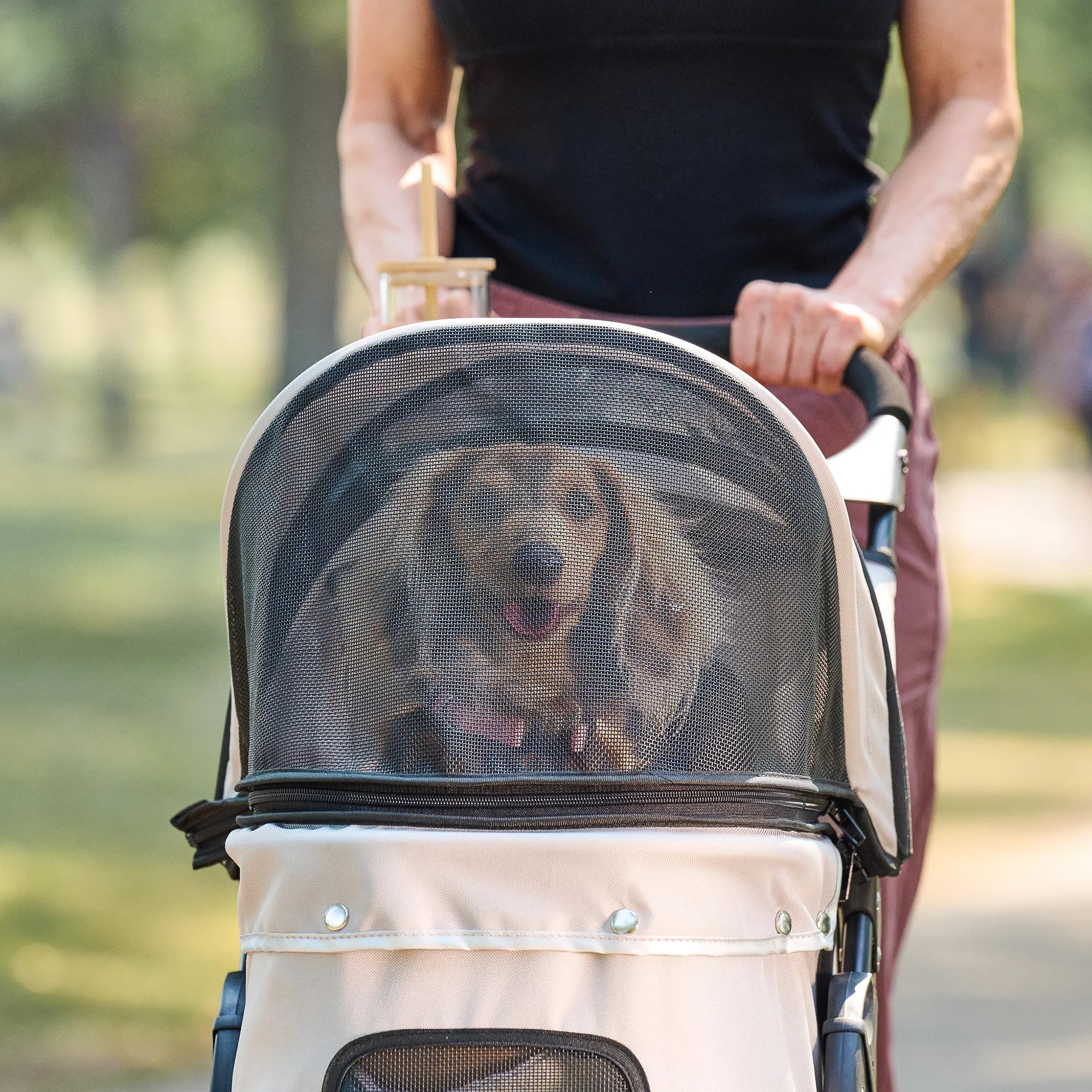 carlson-portable-pup-hundebuggy-khaki-f-r-kleine-hunde image 5