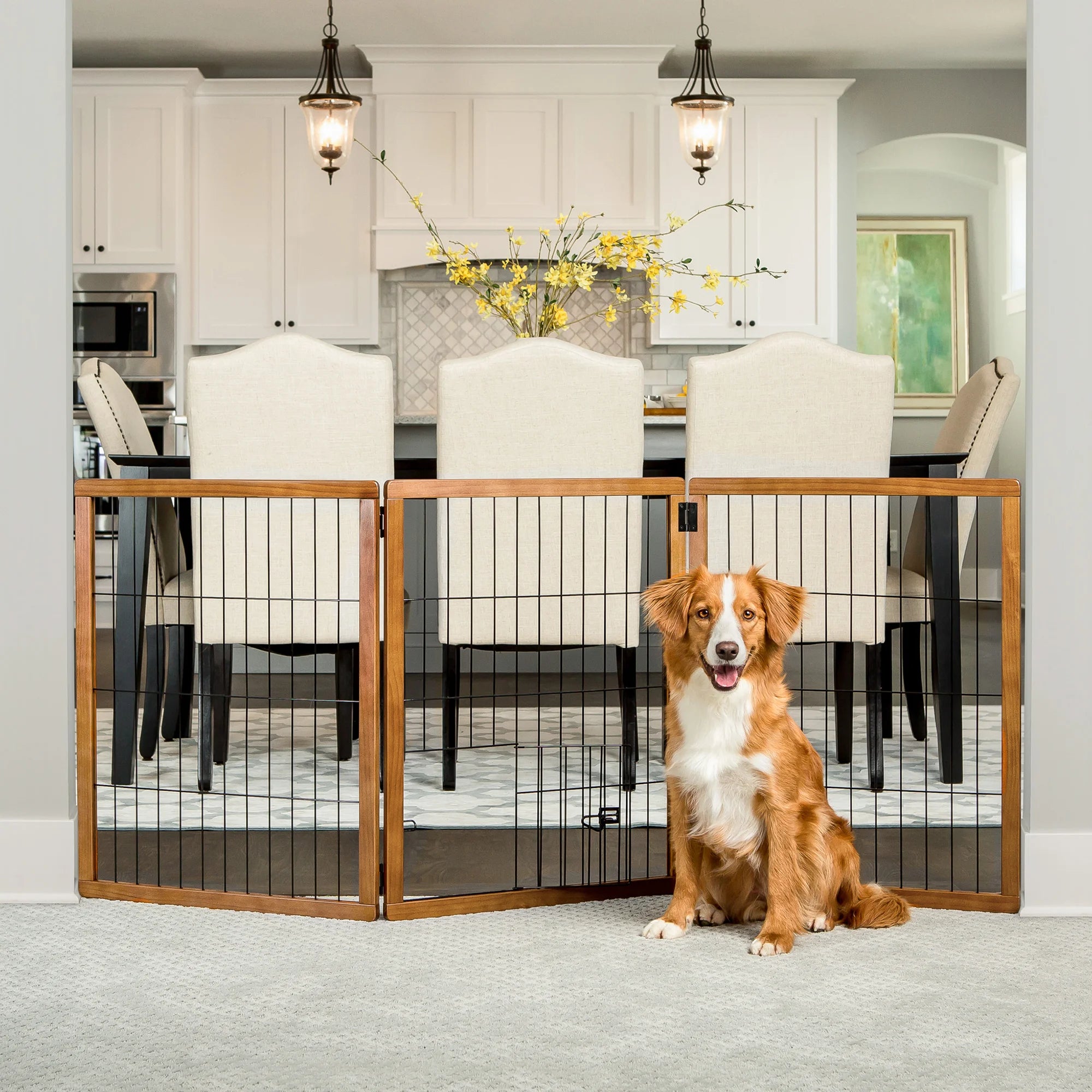 carlson-gates-design-paw-hundegitter-holz-3-teilig-kirsche image 3