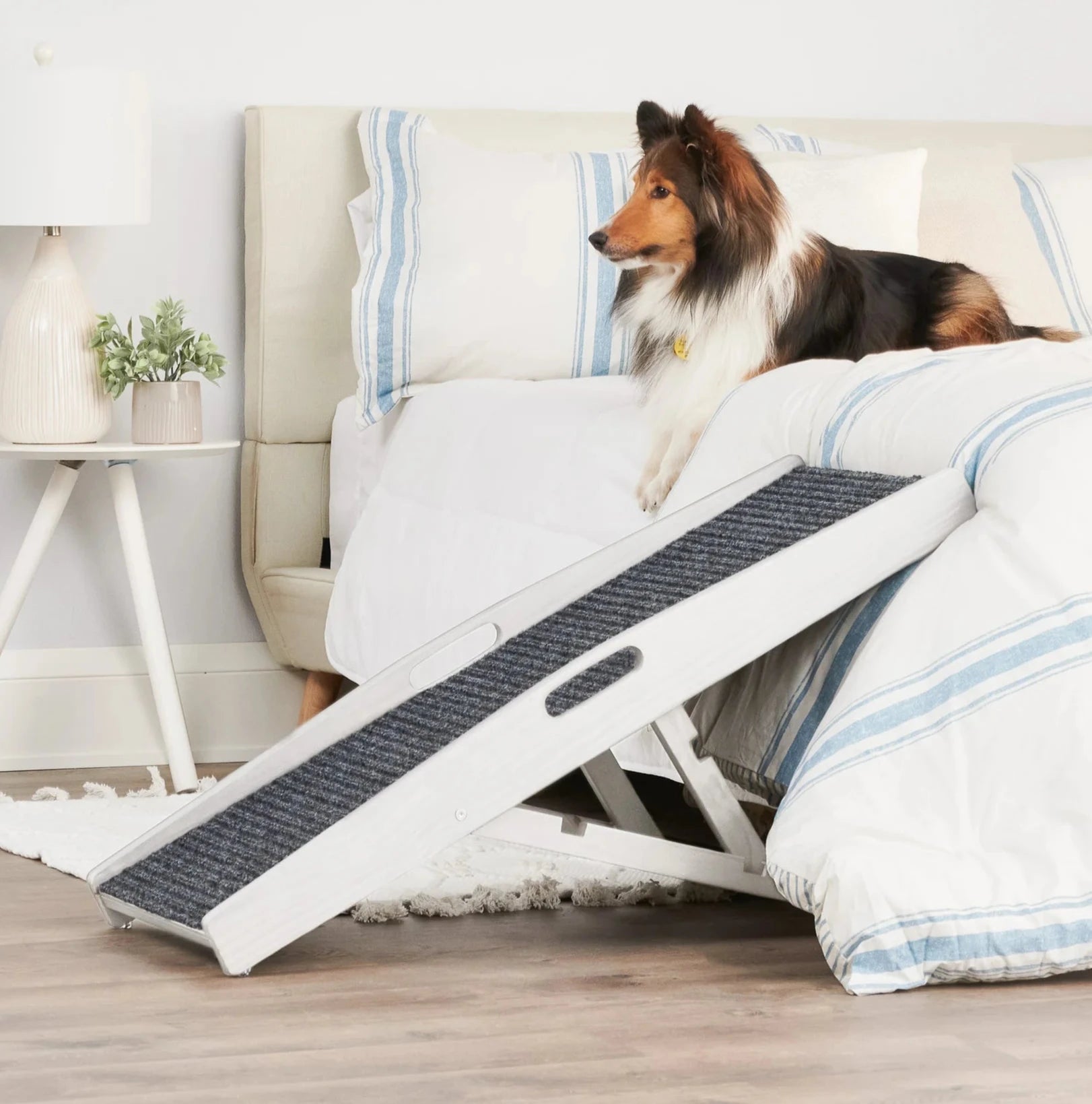 carlson-indoor-hunderampe-wei-klappbar-bis-36-kg image 1
