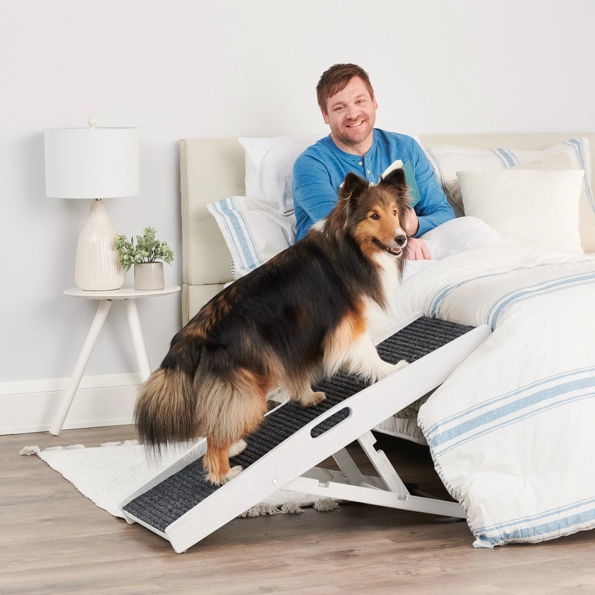 carlson-indoor-hunderampe-wei-klappbar-bis-36-kg image 7