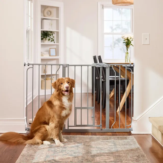 carlson-gates-51-extra-wide-walk-thru-hundetor-platin-76-cm image 1