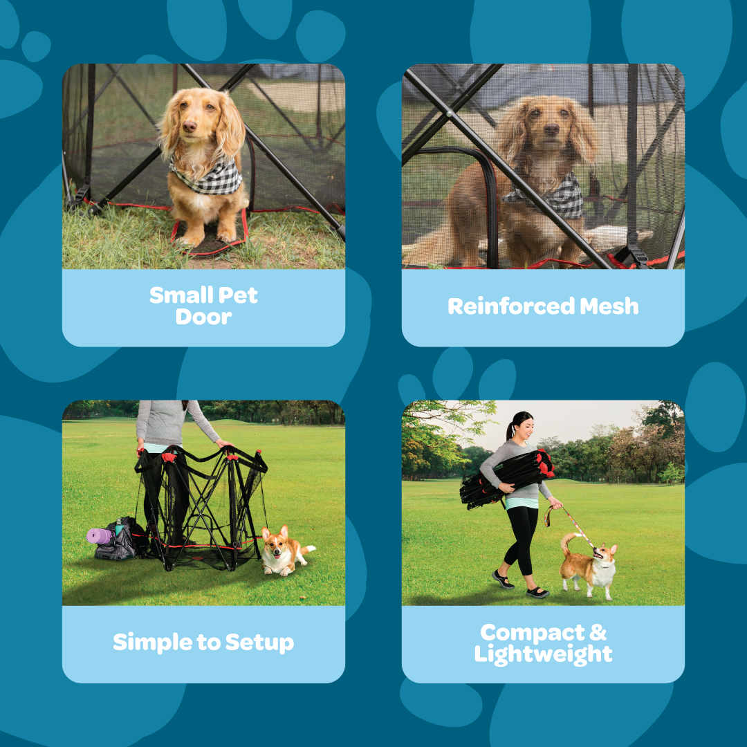 carlson-crates-pens-portable-pet-pen-hundegehege-rot-faltbar image 3