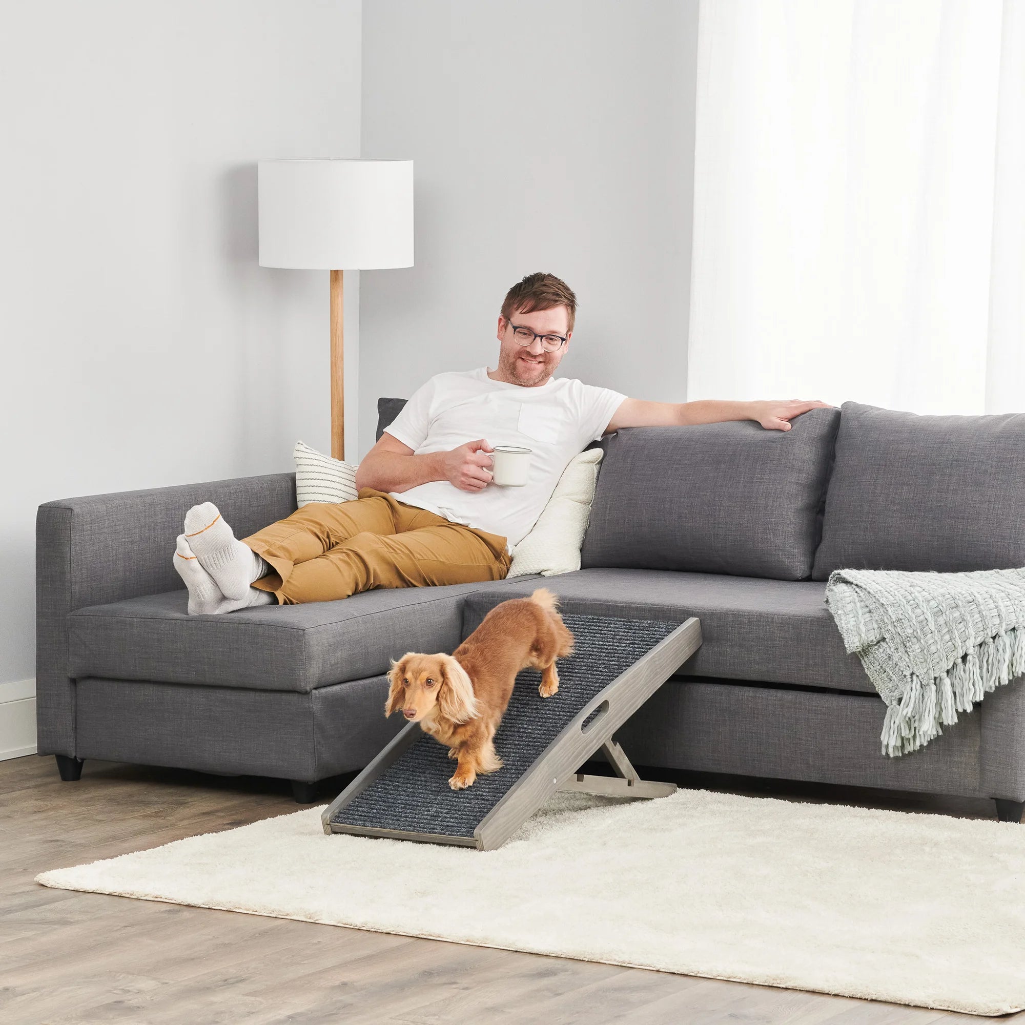 carlson-indoor-hunderampe-grau-klappbar-bis-36-kg image 8