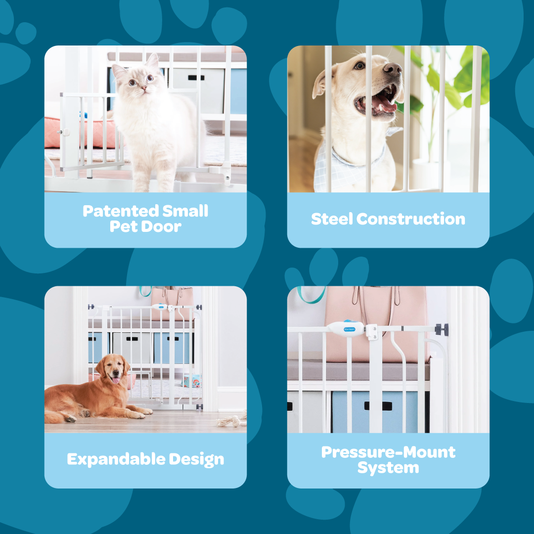 carlson-gates-extra-wide-walk-thru-hundegitter-wei-kleintiert-r image 3