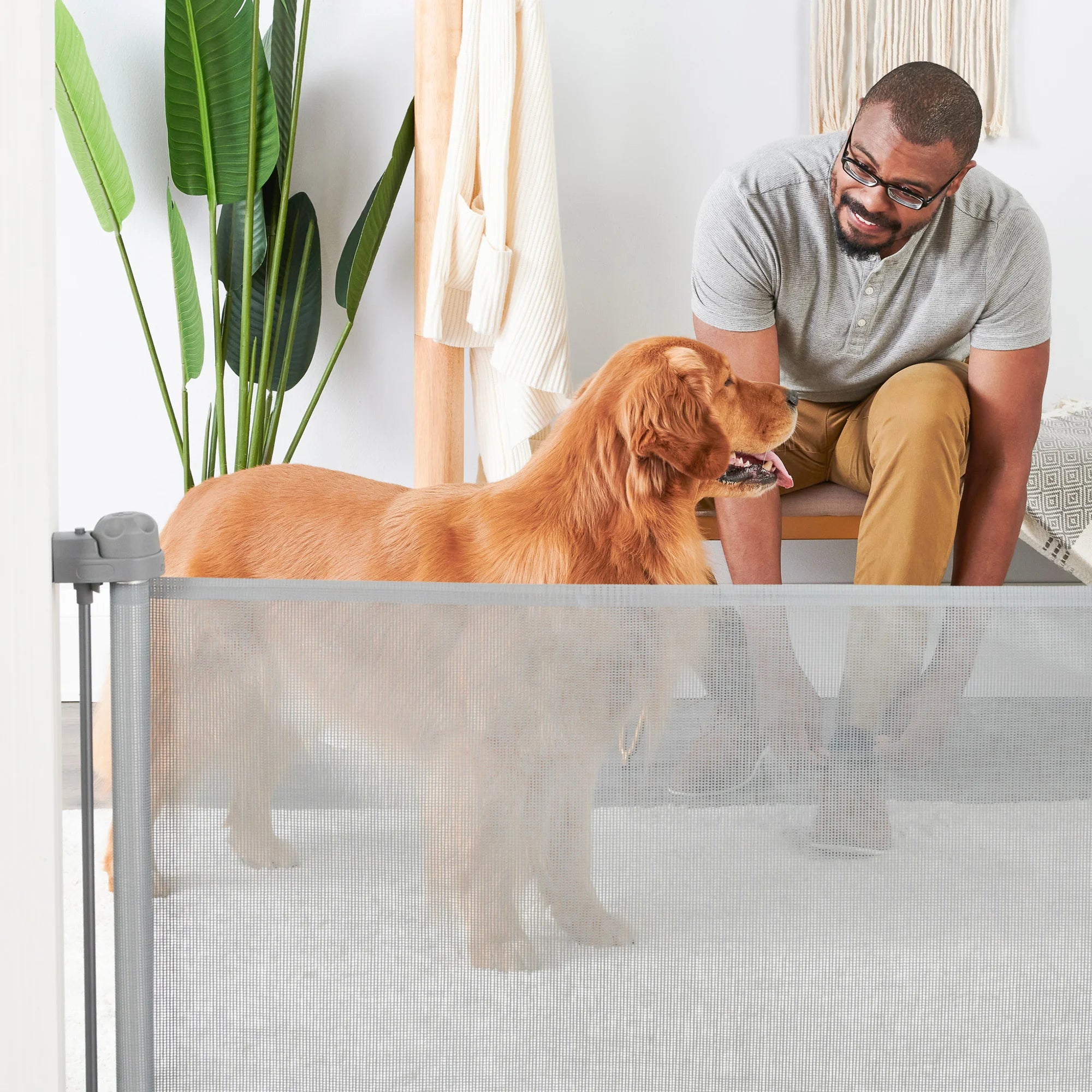 carlson-gates-retractable-hundegitter-mesh-127-cm image 7