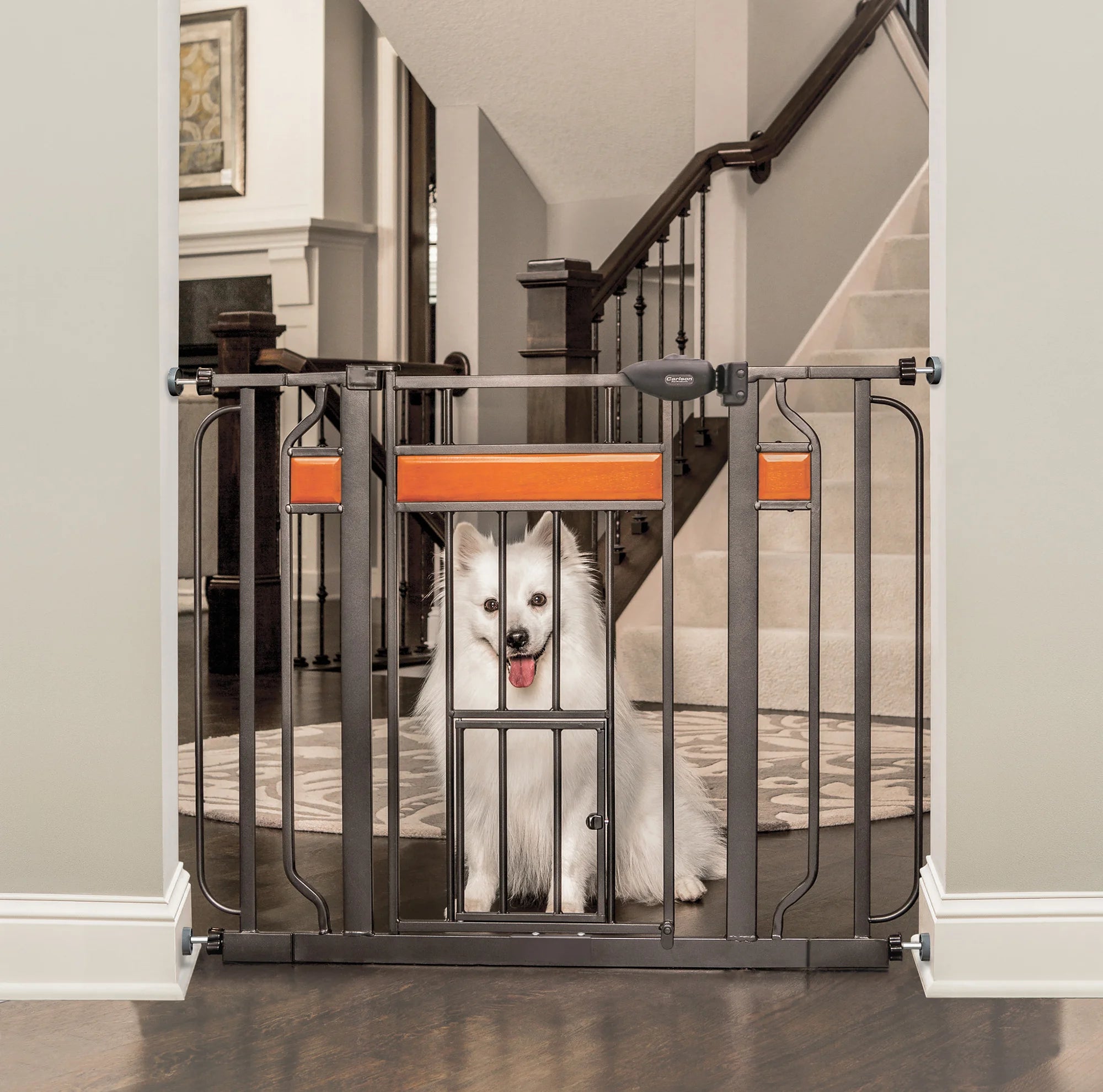 carlson-design-paw-hundegitter-mit-t-r-76-105-cm image 1
