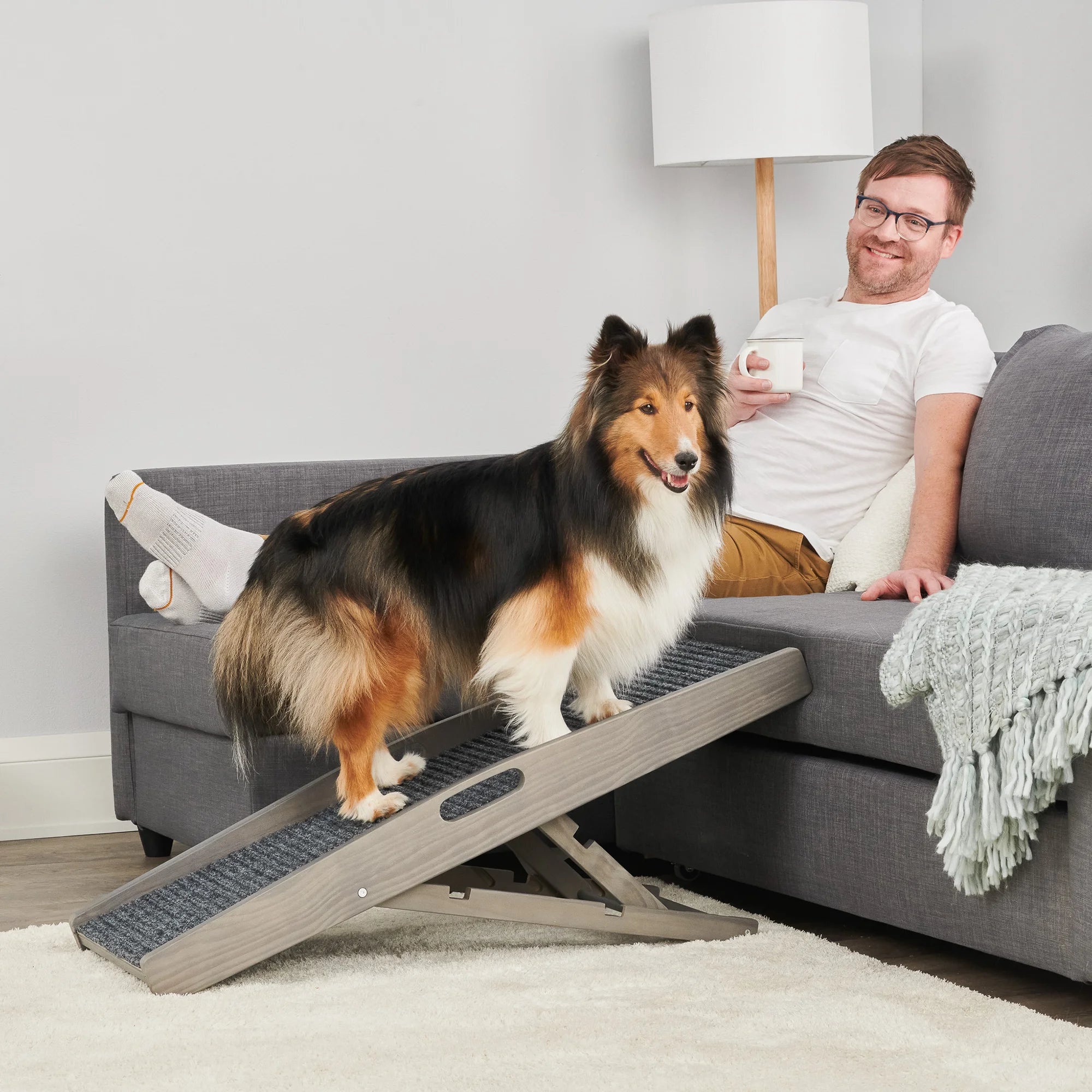 carlson-indoor-hunderampe-grau-klappbar-bis-36-kg image 7