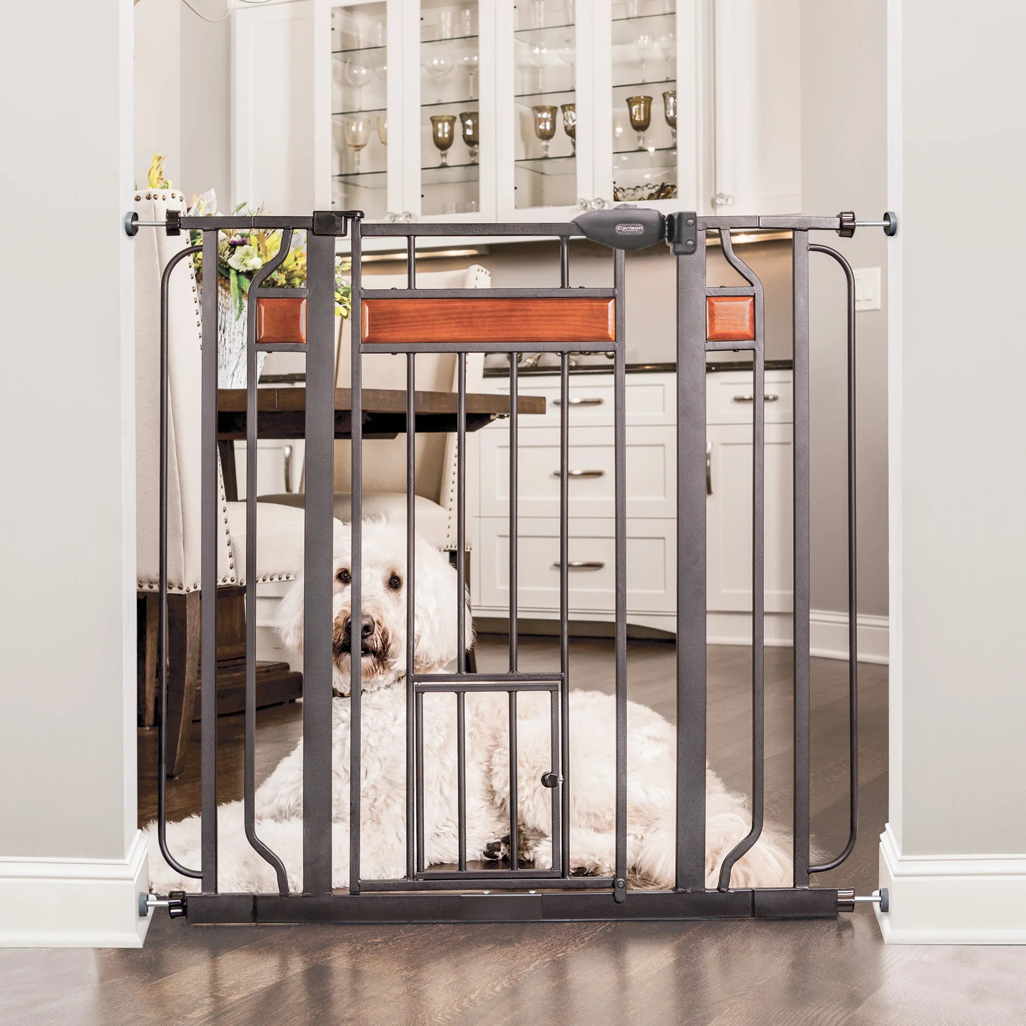 carlson-gates-design-paw-hundegitter-extra-hoch-mit-kleintierklappe image 1