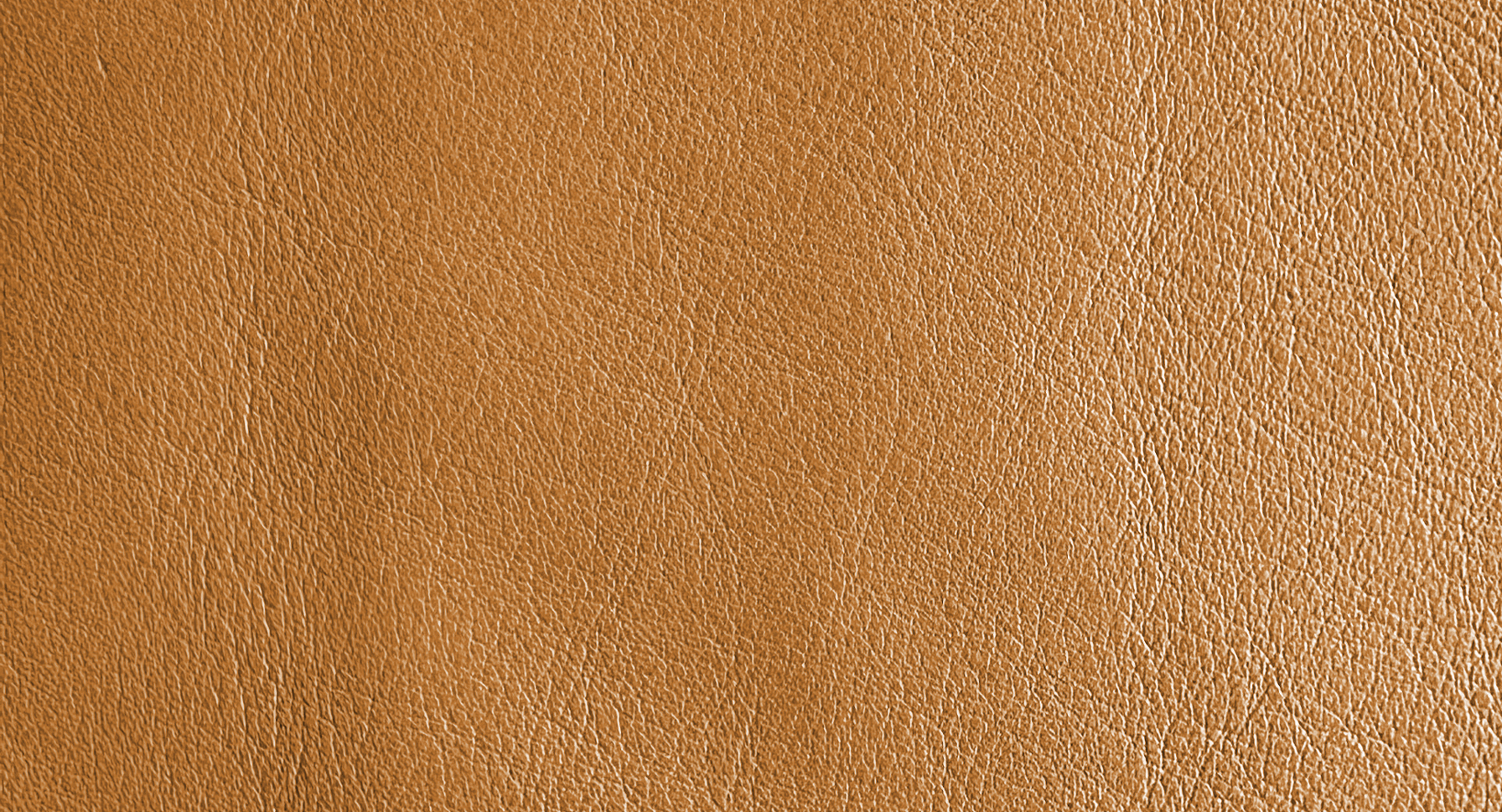 arketipo-complementi-pelle-b-anilina-lederaccessoire-anilin image 3