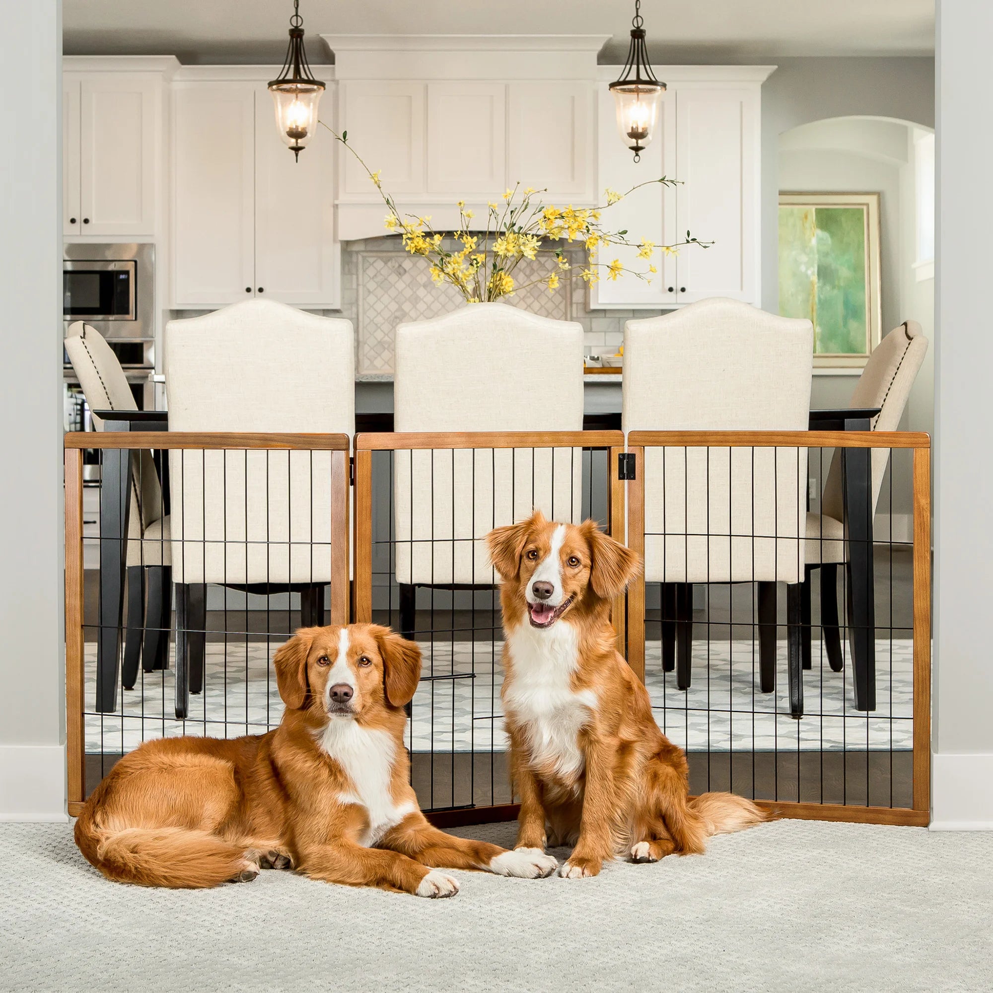 carlson-gates-design-paw-hundegitter-holz-3-teilig-kirsche image 2