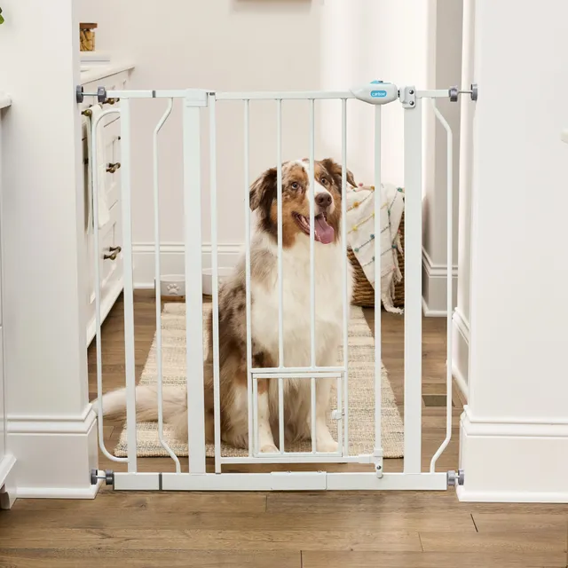 carlson-0941-walk-thru-hundegitter-wei-91-hoch-kleintiert-r image 1