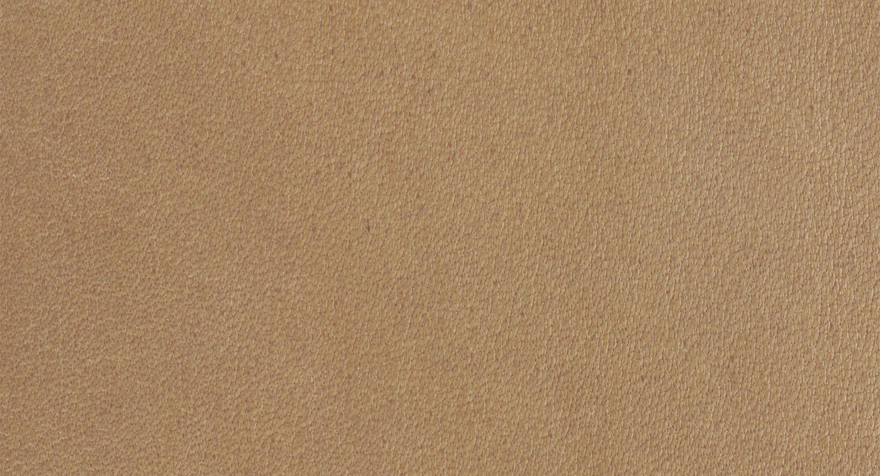 arketipo-complementi-pelle-b-vollnarbenleder-deko image 3