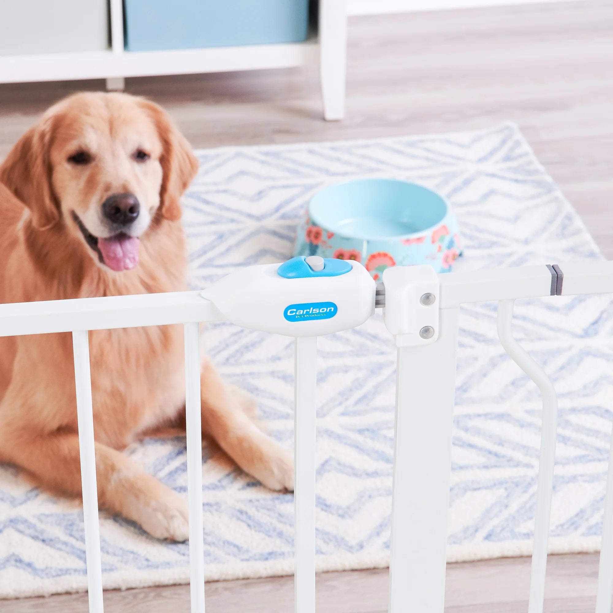 carlson-gates-extra-wide-walk-thru-hundegitter-wei-kleintiert-r image 7