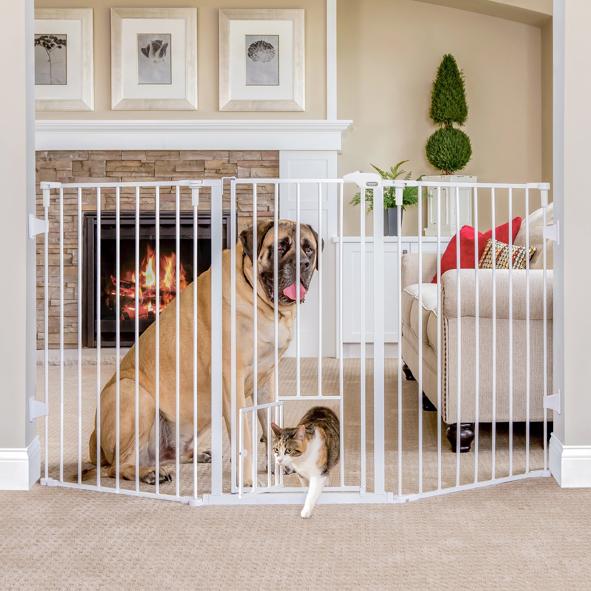 carlson-flexi-extra-tall-walk-thru-hundegitter-193-cm-hoch image 1