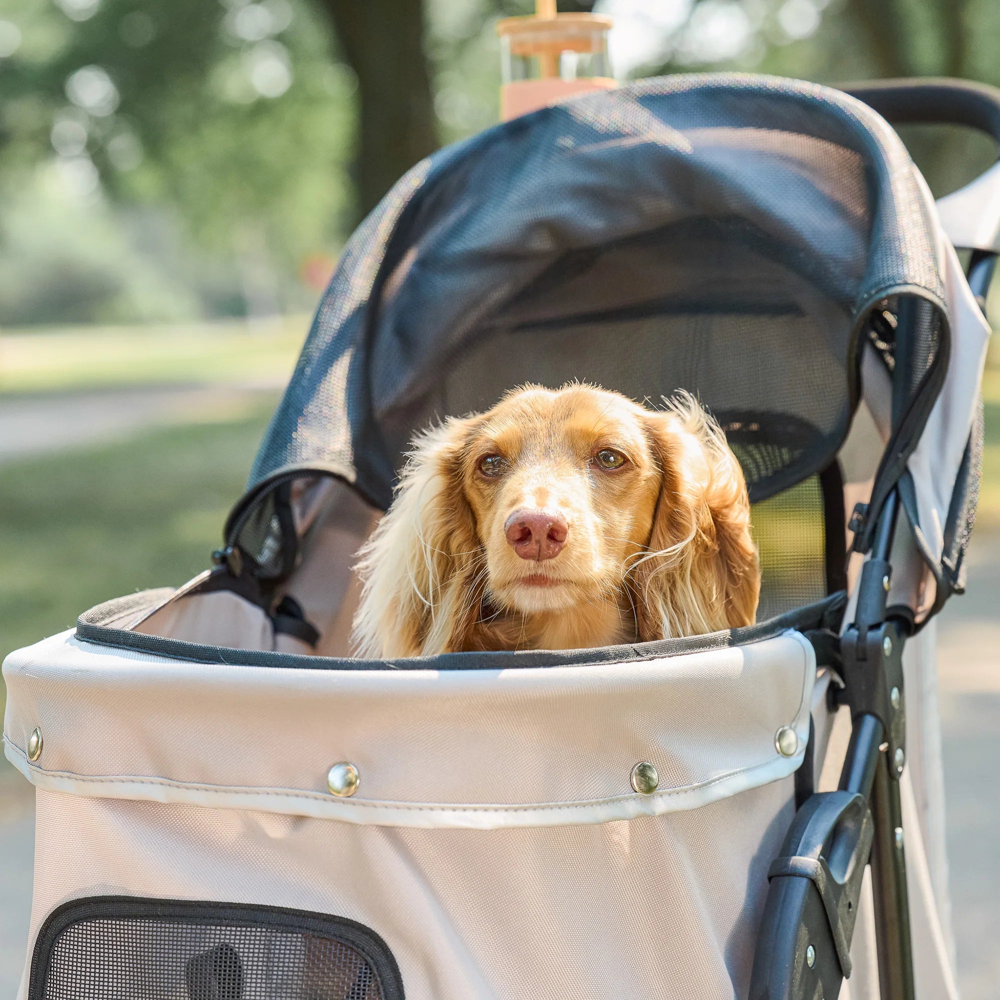 carlson-portable-pup-hundebuggy-khaki-f-r-kleine-hunde image 7
