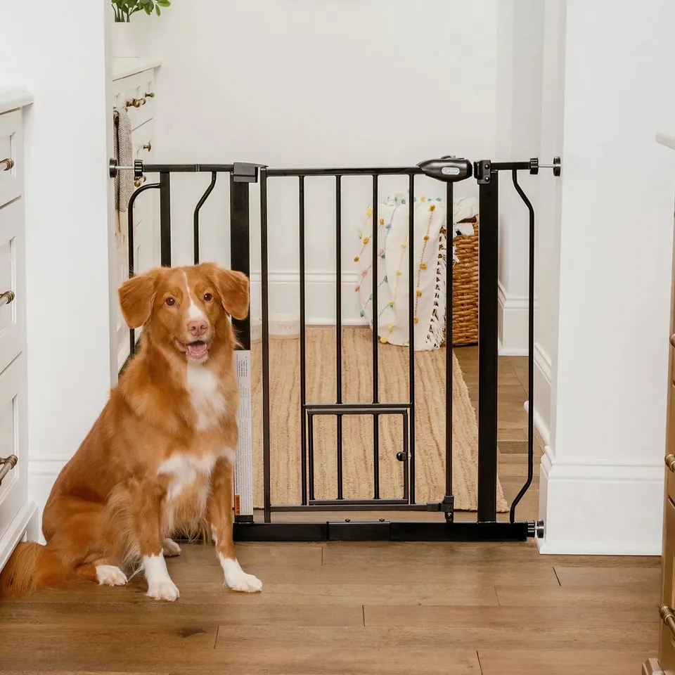 carlson-gates-extra-wide-walk-thru-hundegitter-schwarz image 1